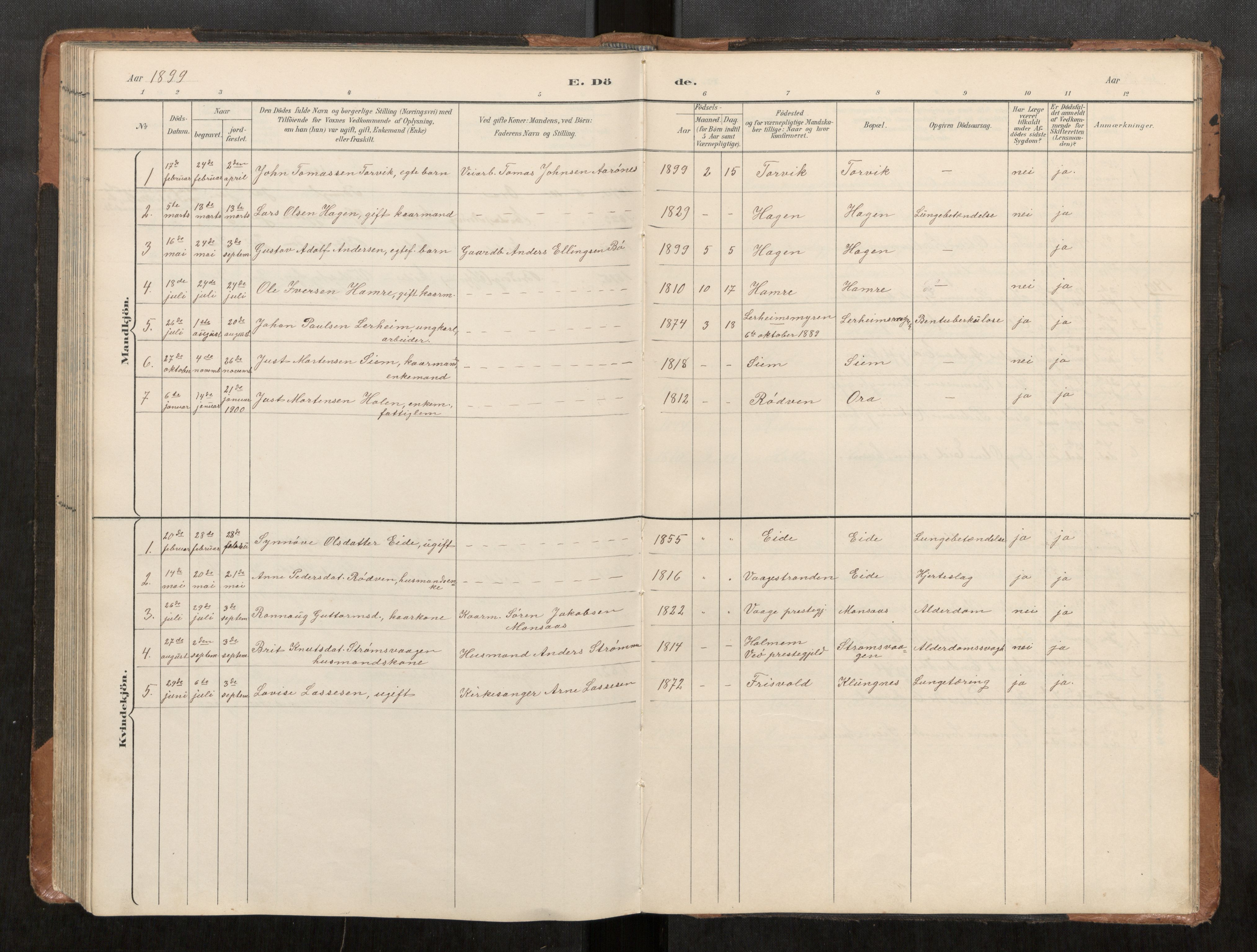 Ministerialprotokoller, klokkerbøker og fødselsregistre - Møre og Romsdal, AV/SAT-A-1454/542/L0561: Parish register (copy) no. 542C03, 1893-1931