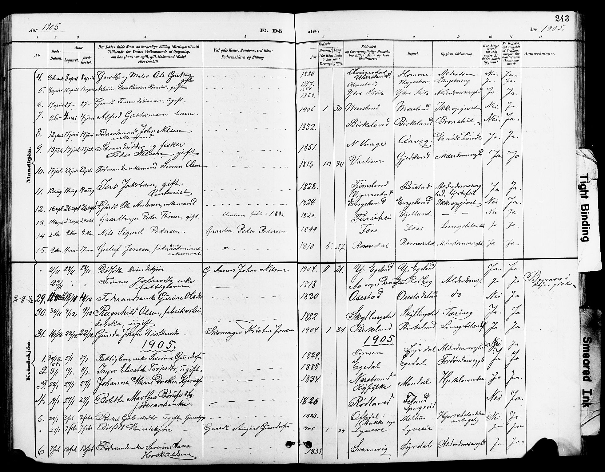 Sør-Audnedal sokneprestkontor, AV/SAK-1111-0039/F/Fb/Fbb/L0006: Parish register (copy) no. B 6, 1893-1915, p. 243