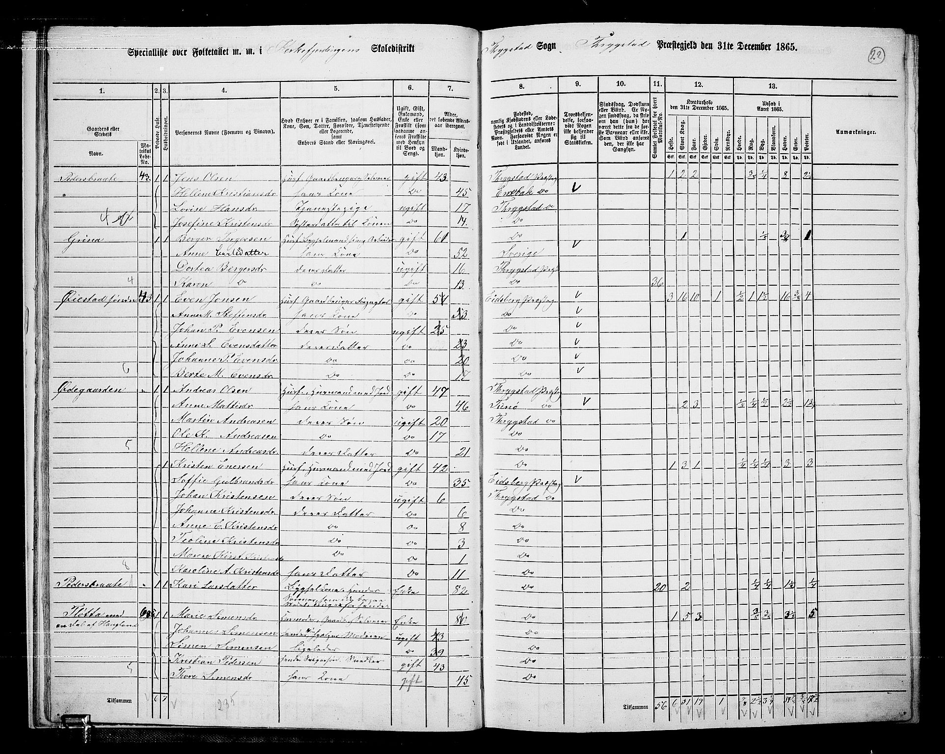 RA, 1865 census for Trøgstad, 1865, p. 21