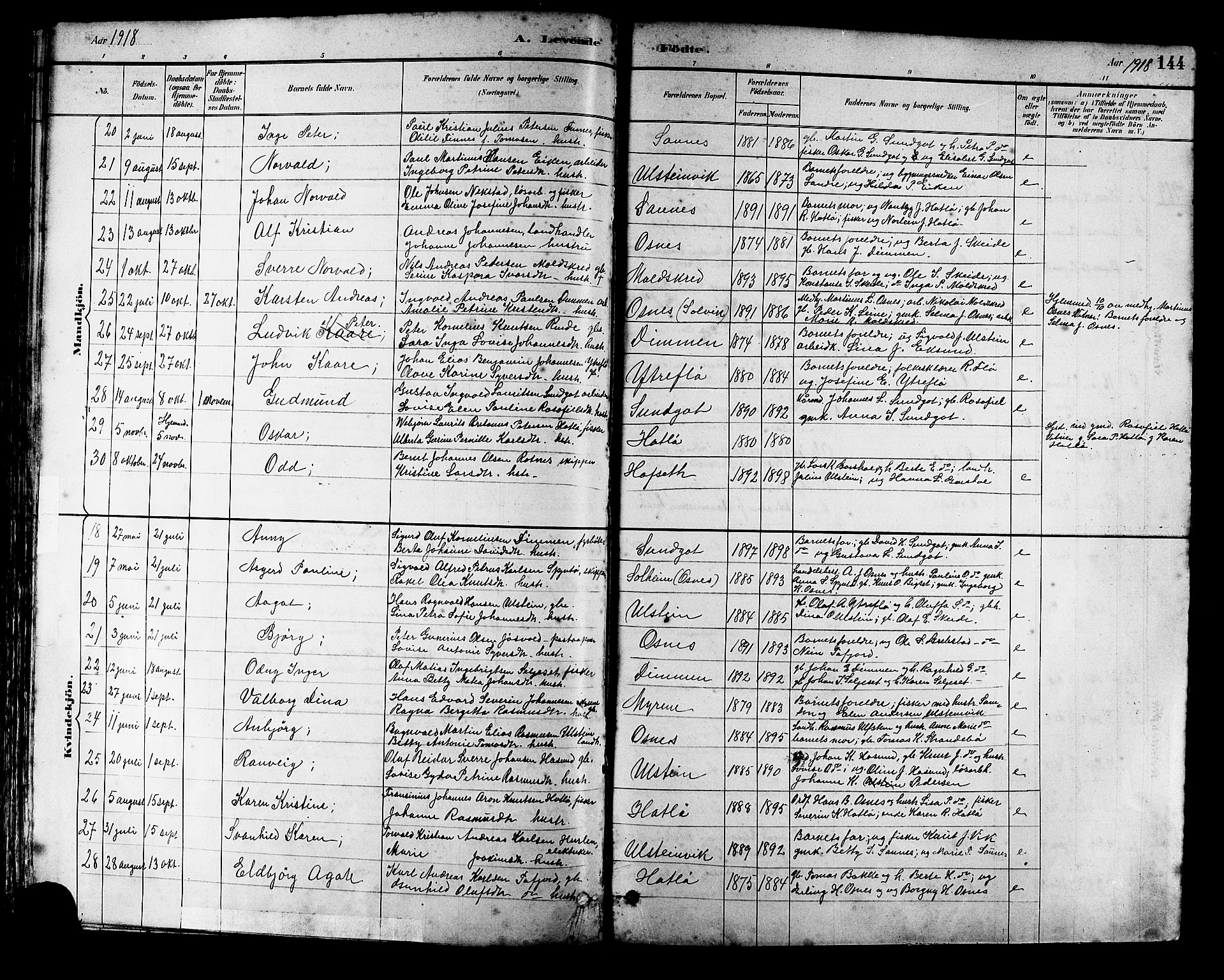 Ministerialprotokoller, klokkerbøker og fødselsregistre - Møre og Romsdal, AV/SAT-A-1454/509/L0112: Parish register (copy) no. 509C02, 1883-1922, p. 144