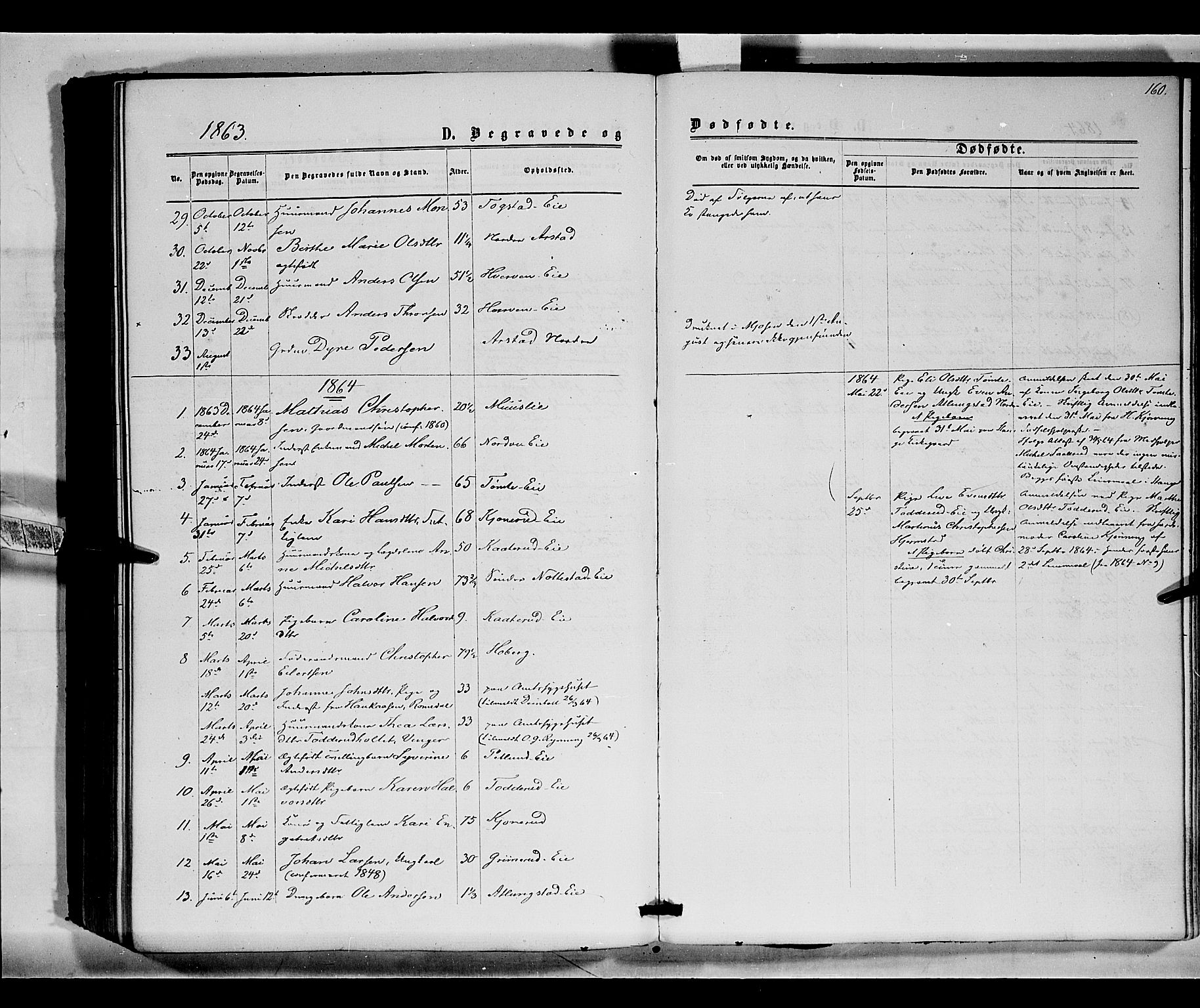 Stange prestekontor, SAH/PREST-002/K/L0015: Parish register (official) no. 15, 1862-1879, p. 160