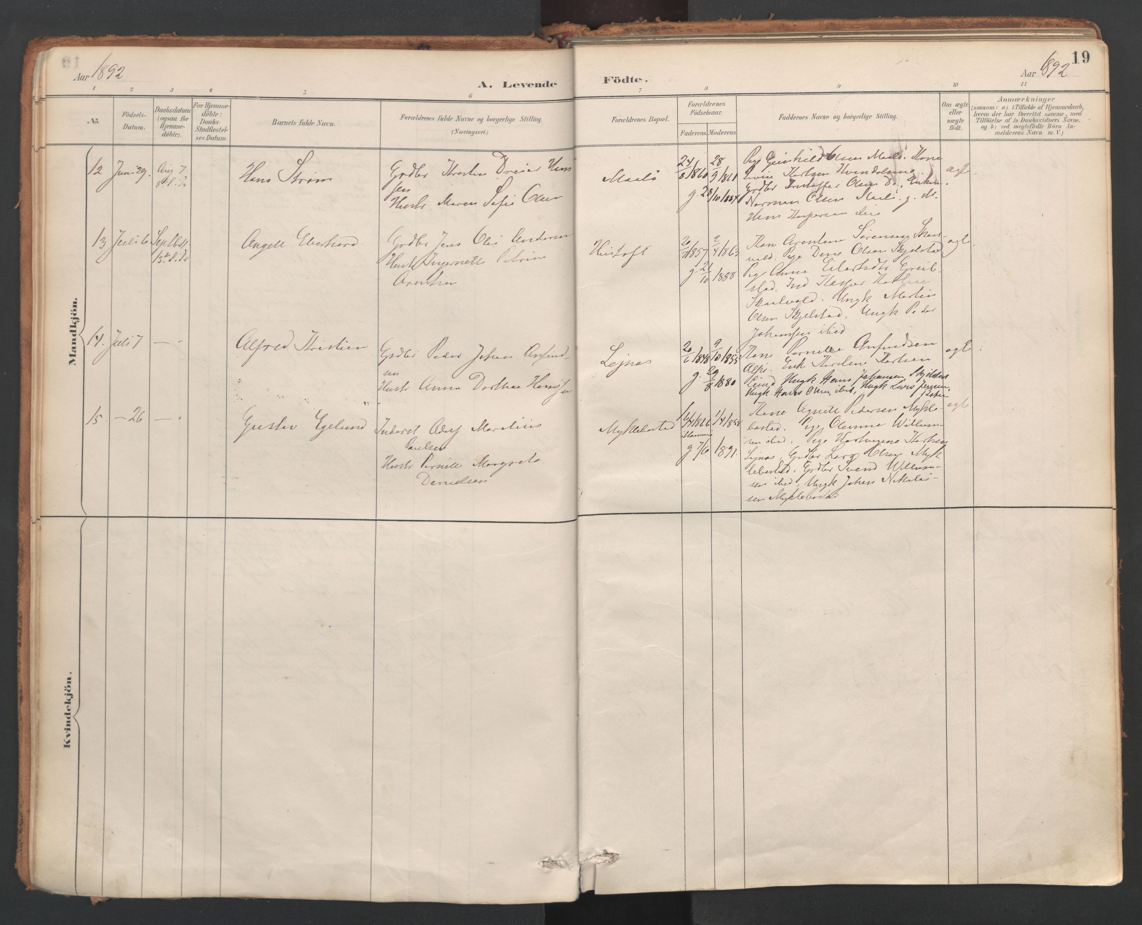 Ministerialprotokoller, klokkerbøker og fødselsregistre - Nordland, AV/SAT-A-1459/857/L0822: Parish register (official) no. 857A02, 1890-1917, p. 19