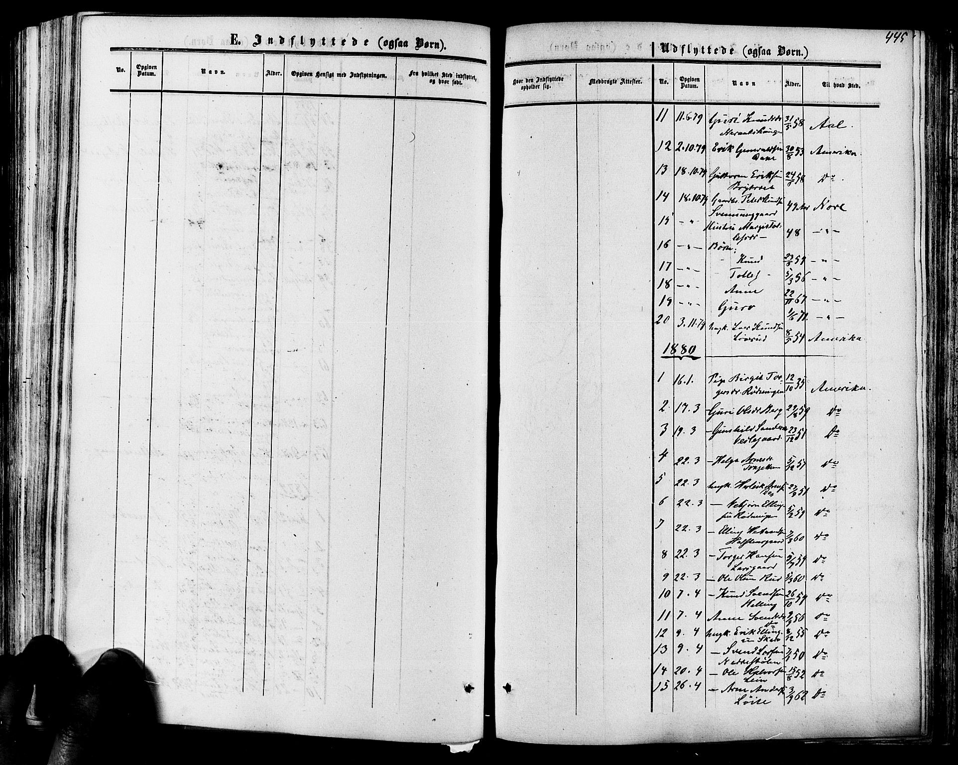 Hol kirkebøker, AV/SAKO-A-227/F/Fa/L0002: Parish register (official) no. I 2, 1870-1886, p. 445