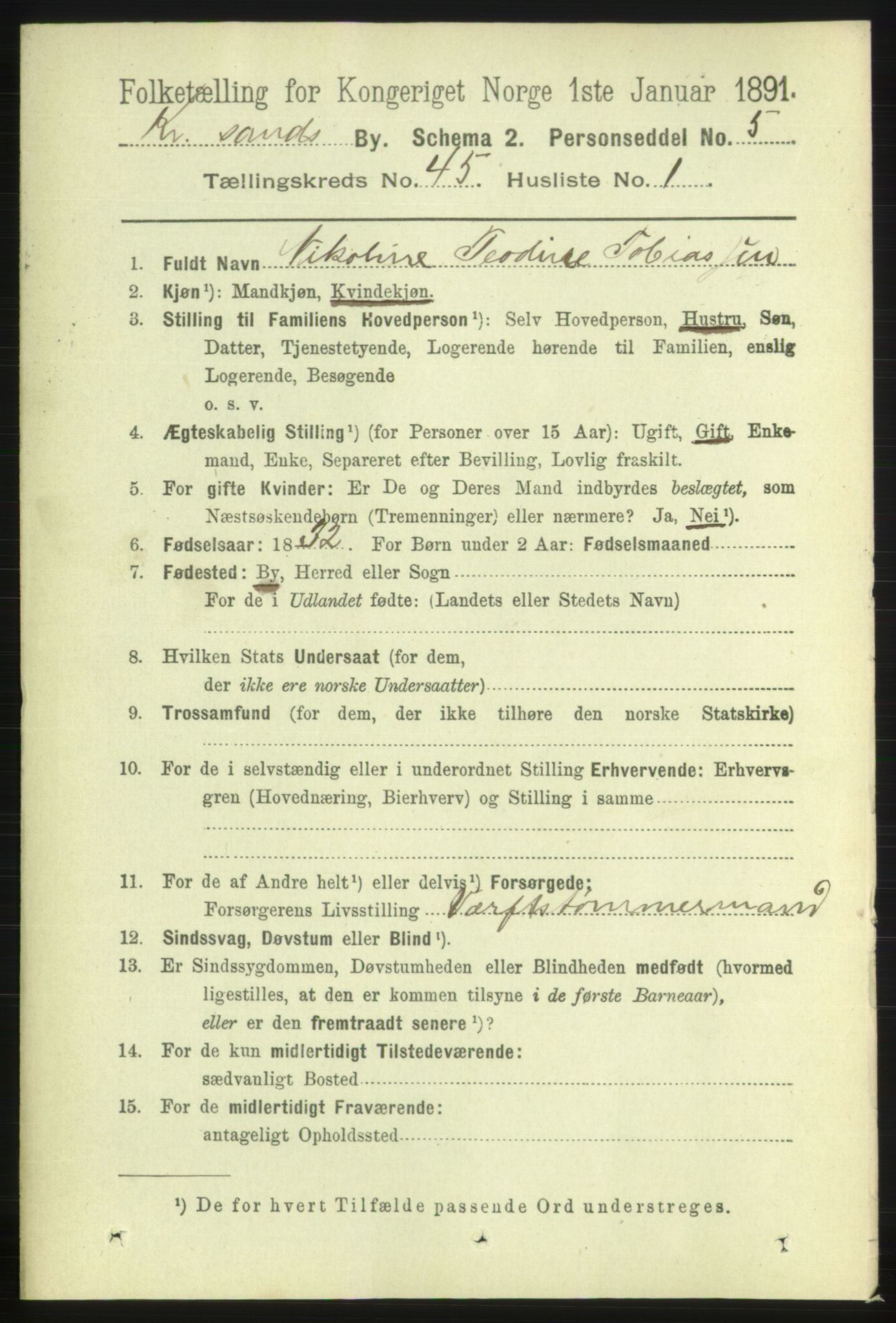 RA, 1891 census for 1001 Kristiansand, 1891, p. 13912