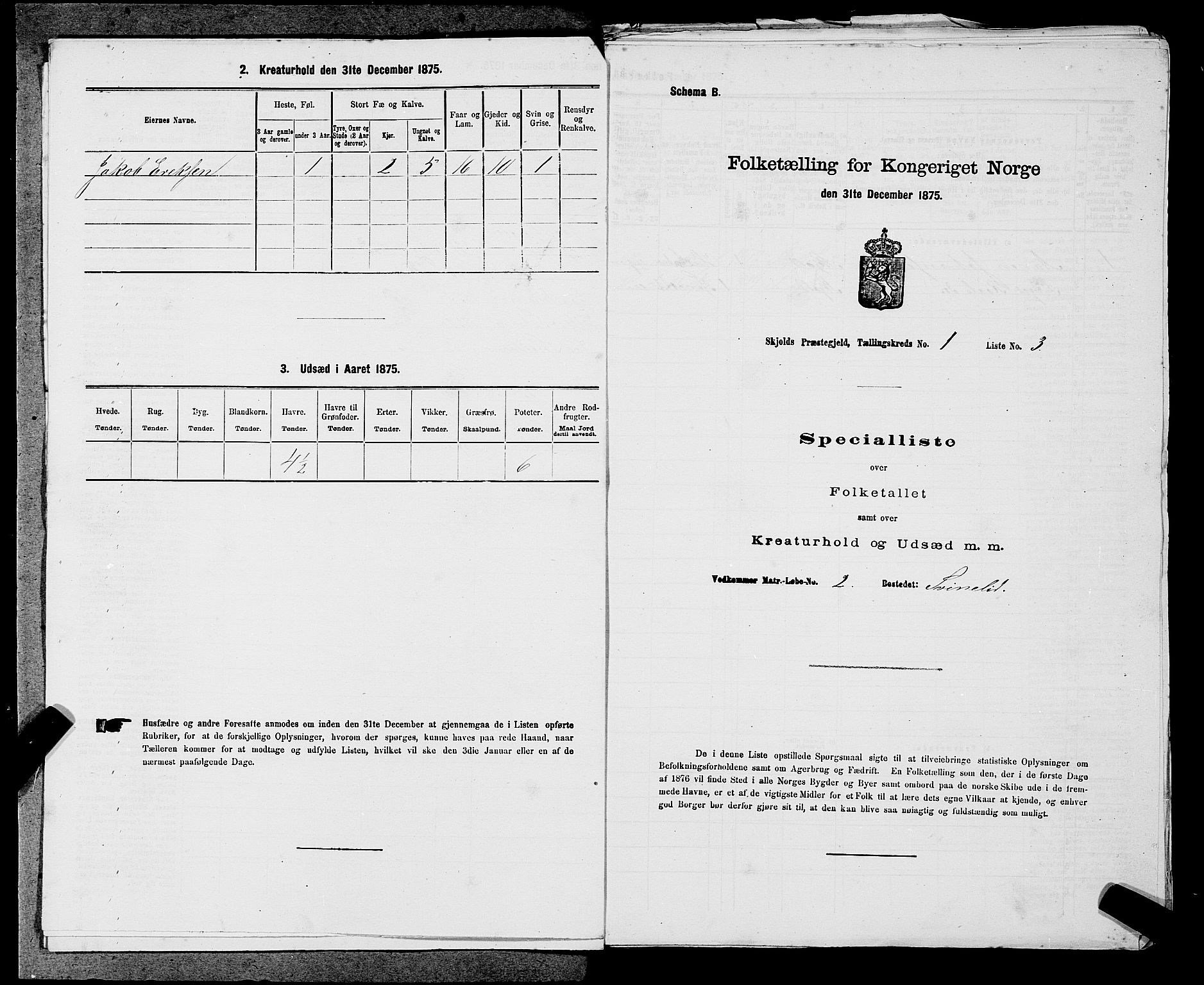 SAST, 1875 census for 1154P Skjold, 1875, p. 58