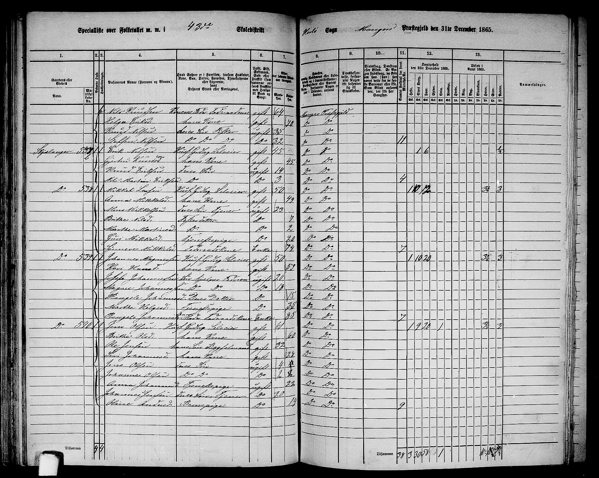 RA, 1865 census for Manger, 1865, p. 144