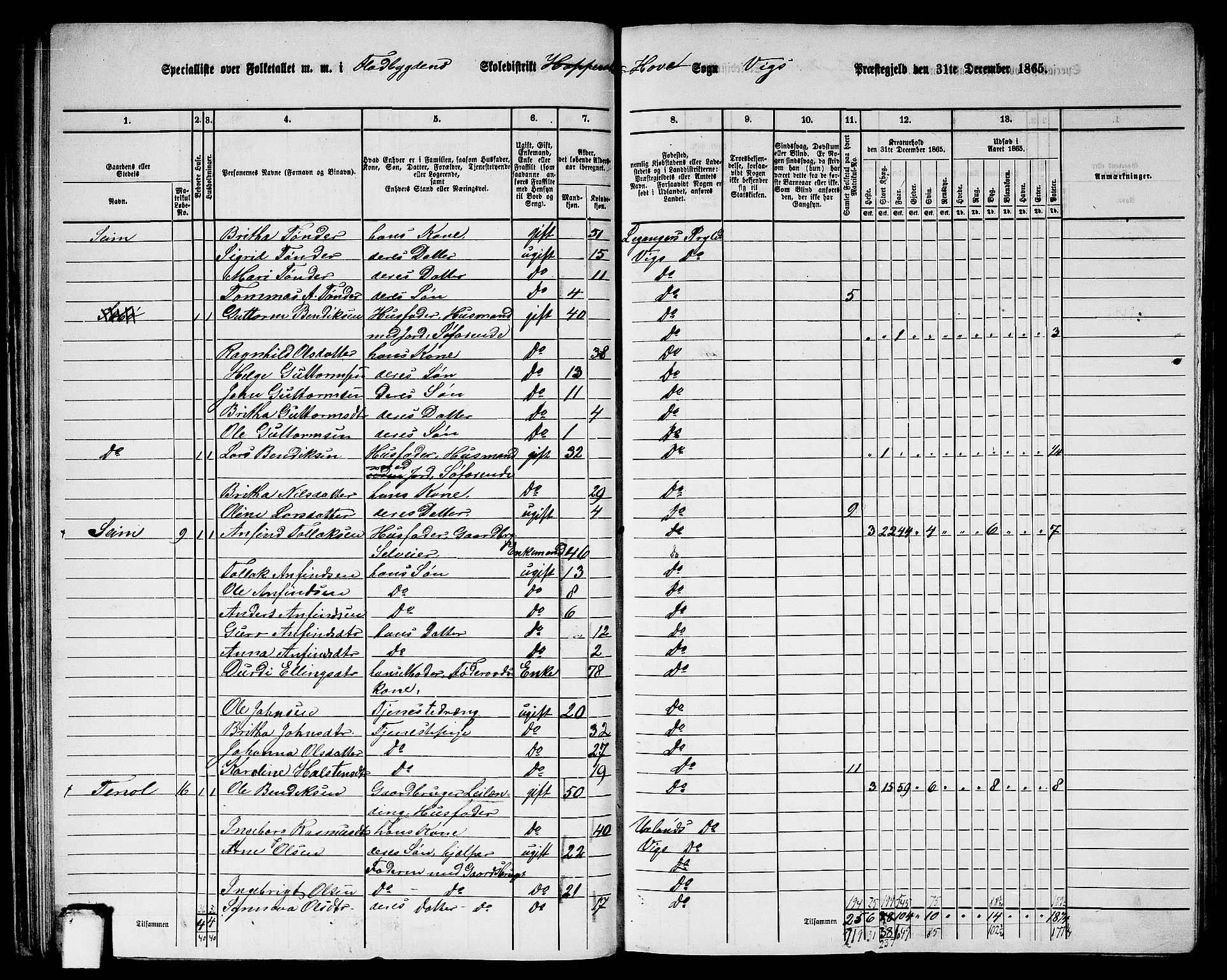 RA, 1865 census for Vik, 1865, p. 39