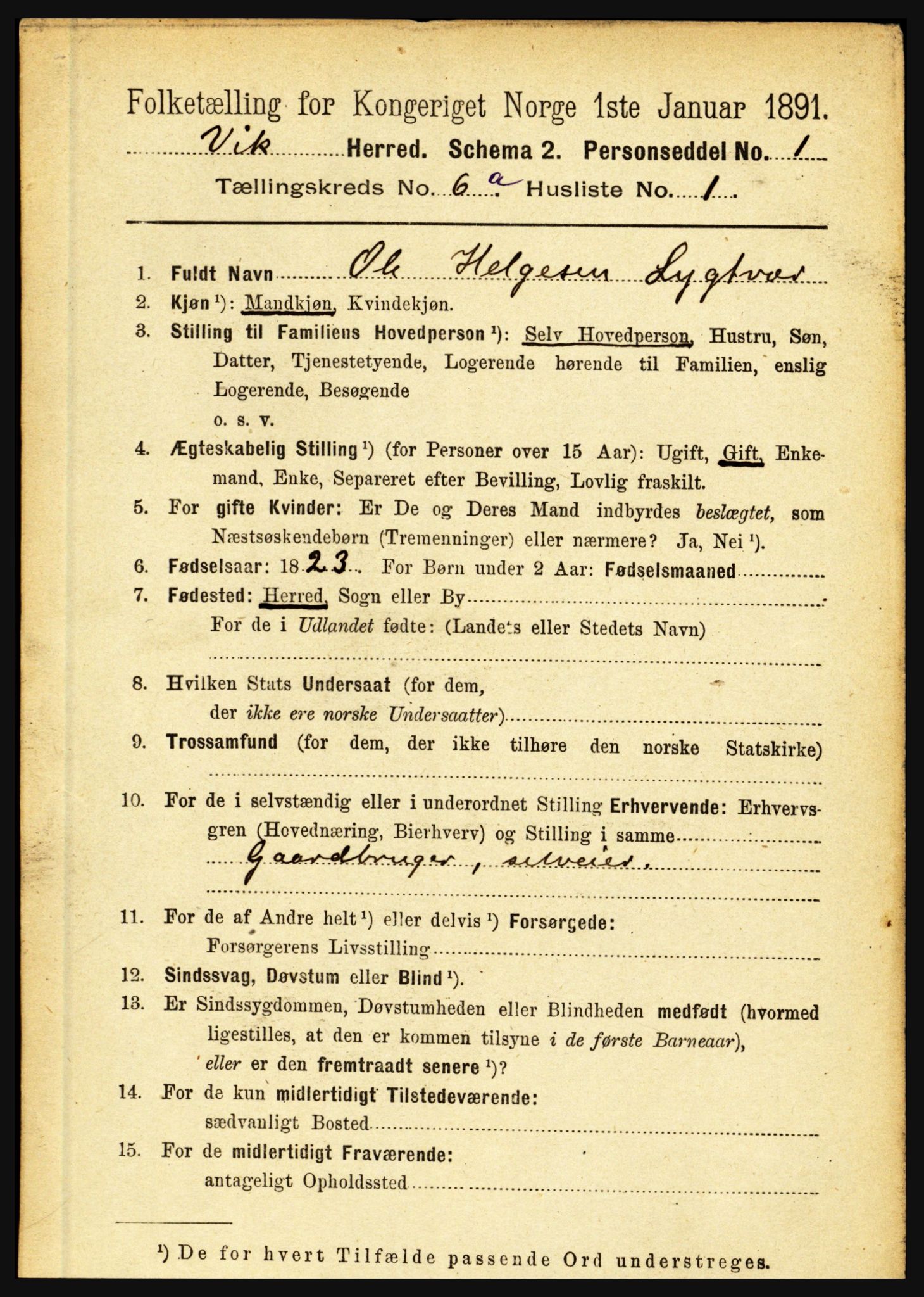 RA, 1891 census for 1417 Vik, 1891, p. 2813