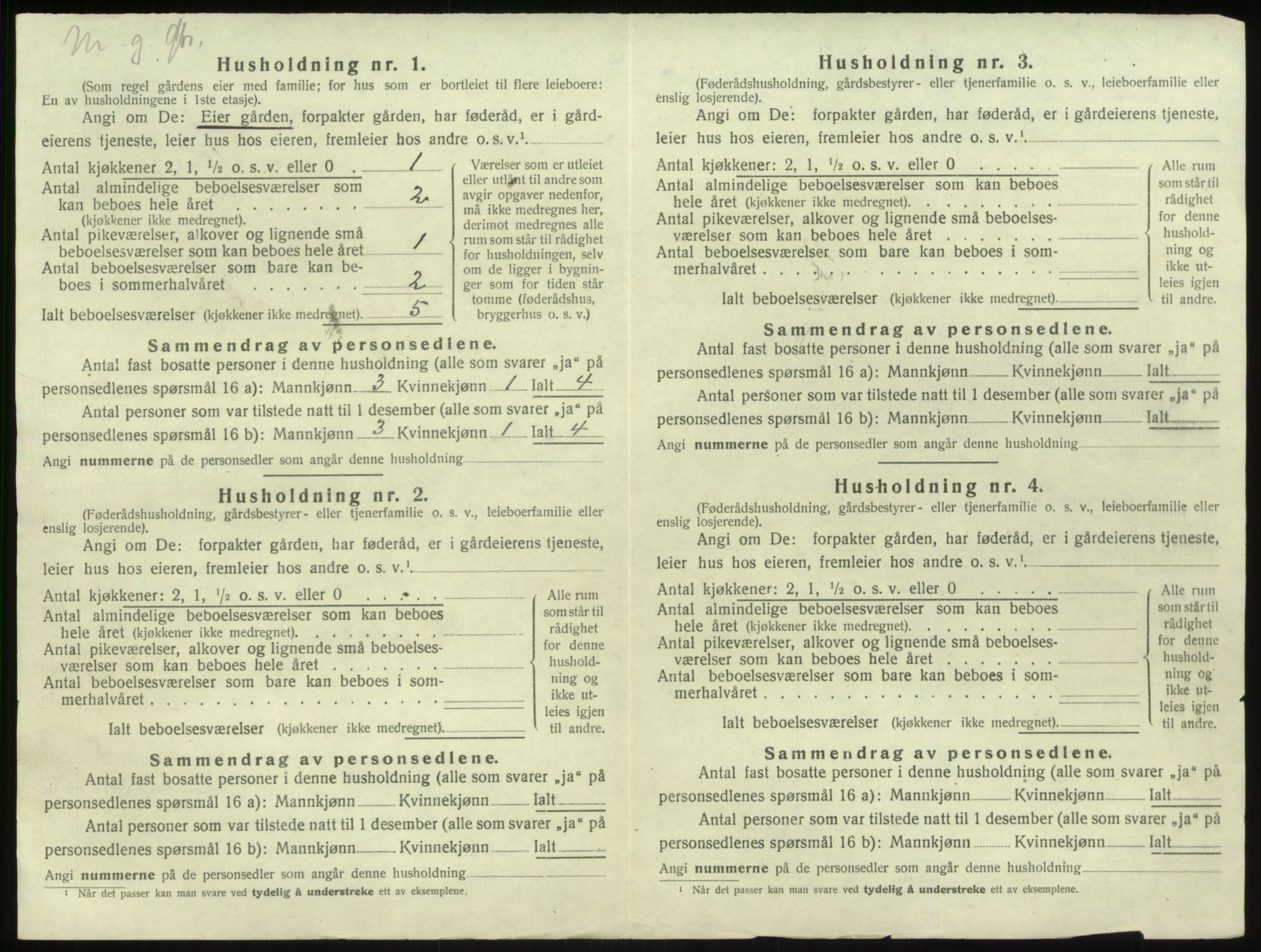 SAB, 1920 census for Vik, 1920, p. 1300