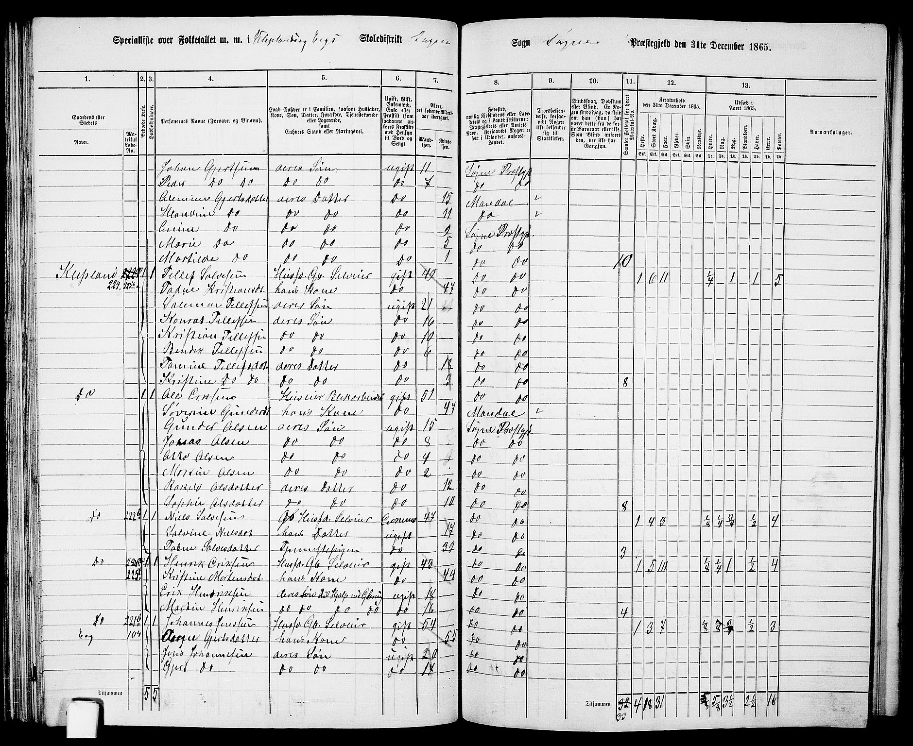 RA, 1865 census for Søgne, 1865, p. 68