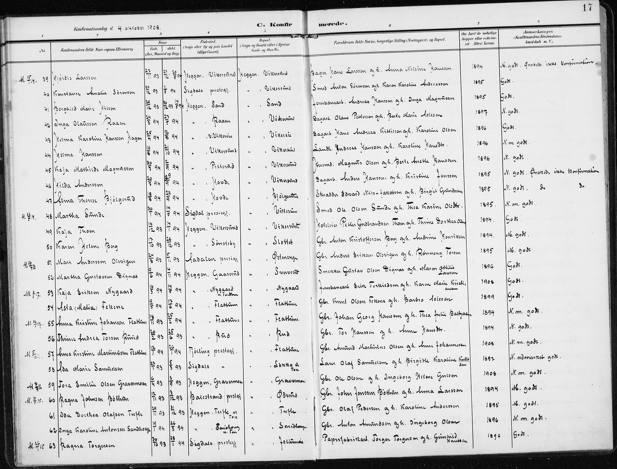 Modum kirkebøker, SAKO/A-234/F/Fa/L0014b: Parish register (official) no. 14B, 1906-1917, p. 17