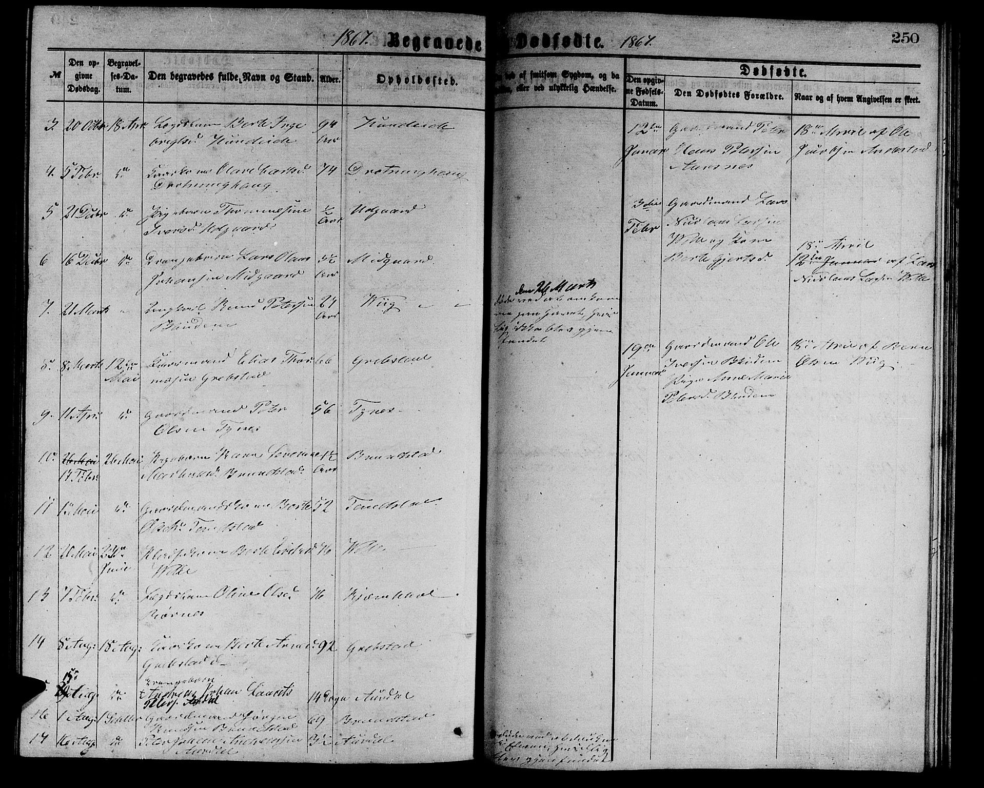 Ministerialprotokoller, klokkerbøker og fødselsregistre - Møre og Romsdal, AV/SAT-A-1454/523/L0338: Parish register (copy) no. 523C01, 1865-1877, p. 250