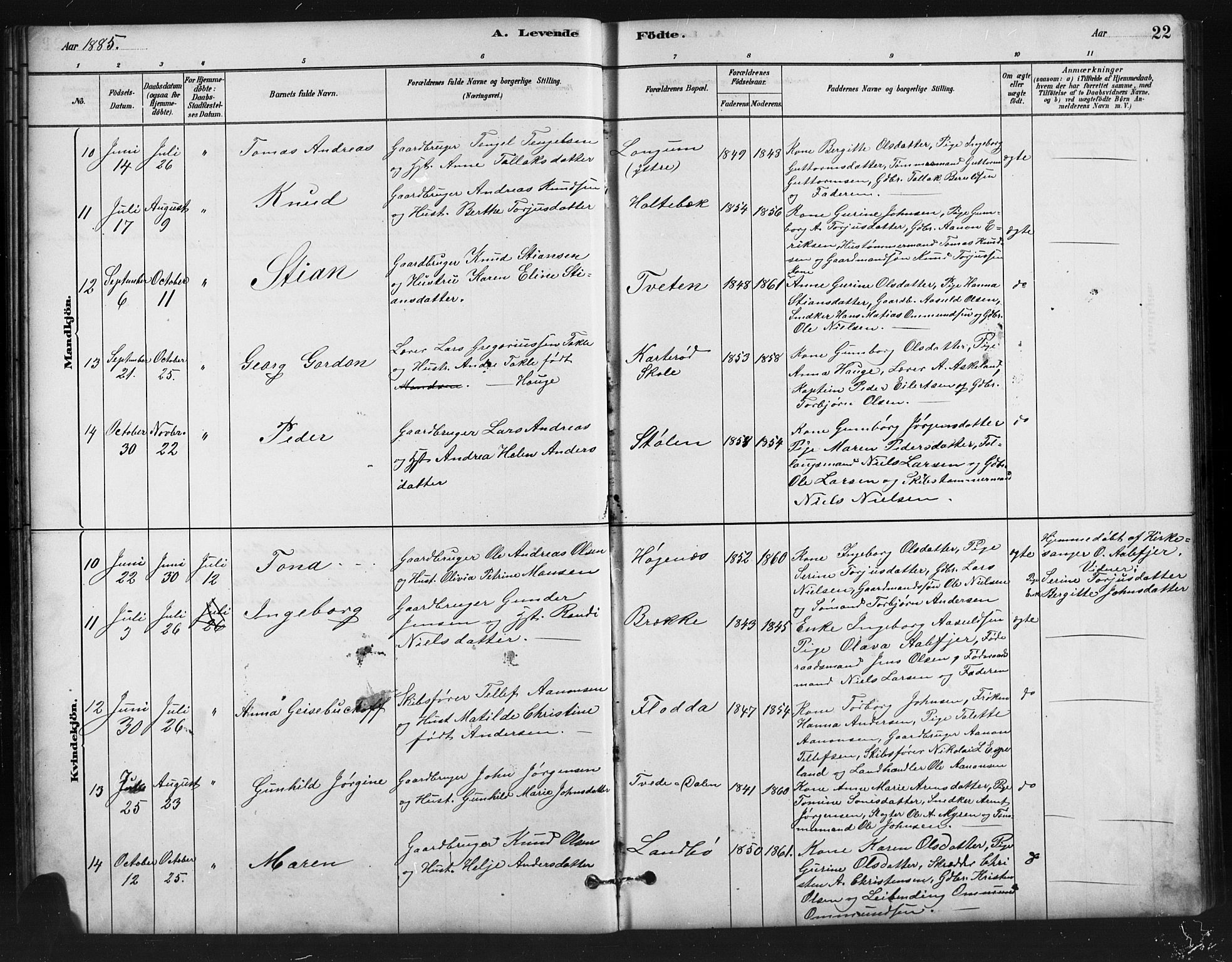 Austre Moland sokneprestkontor, AV/SAK-1111-0001/F/Fb/Fba/L0003: Parish register (copy) no. B 3, 1879-1914, p. 22