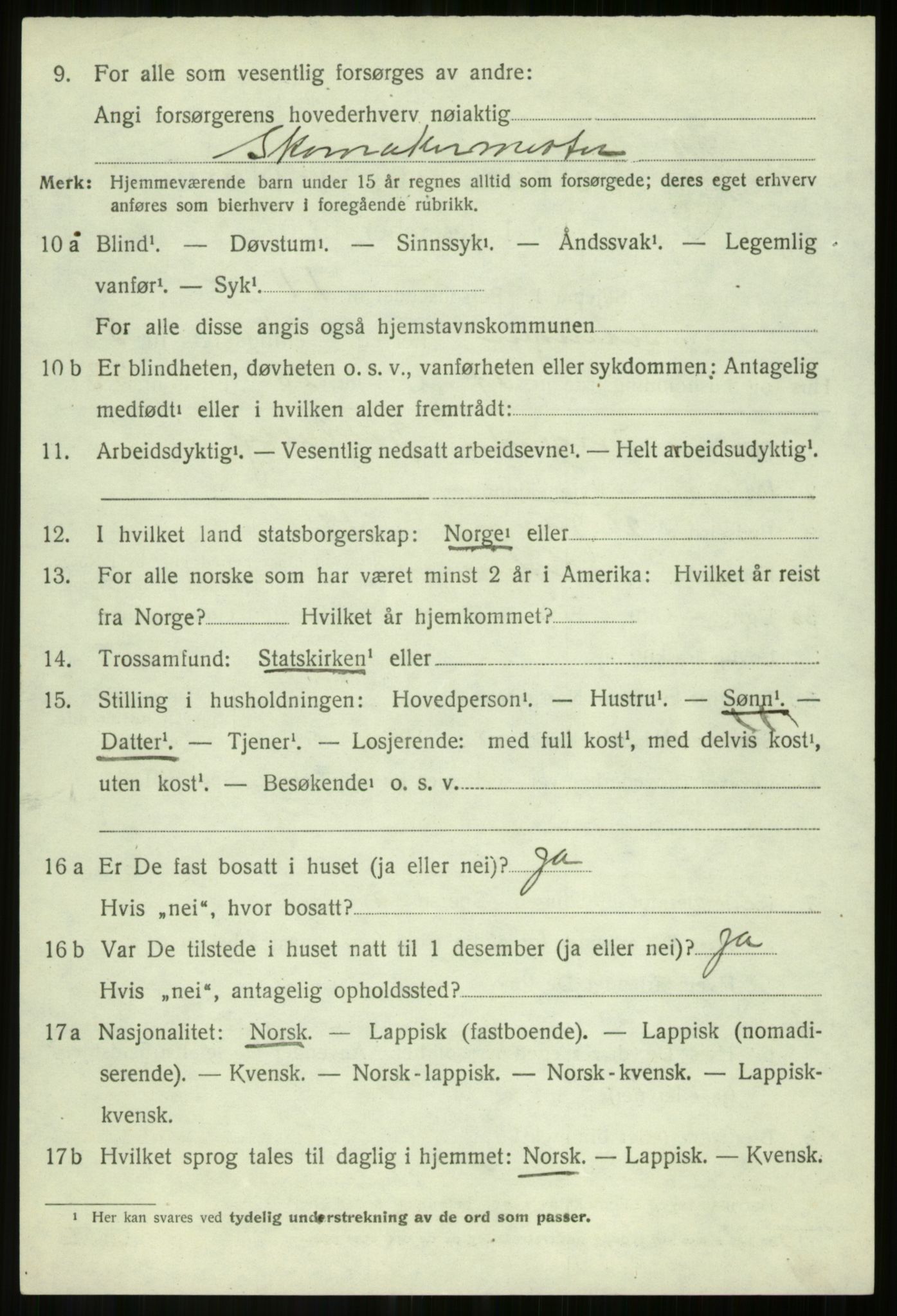 SATØ, 1920 census for Salangen, 1920, p. 4201