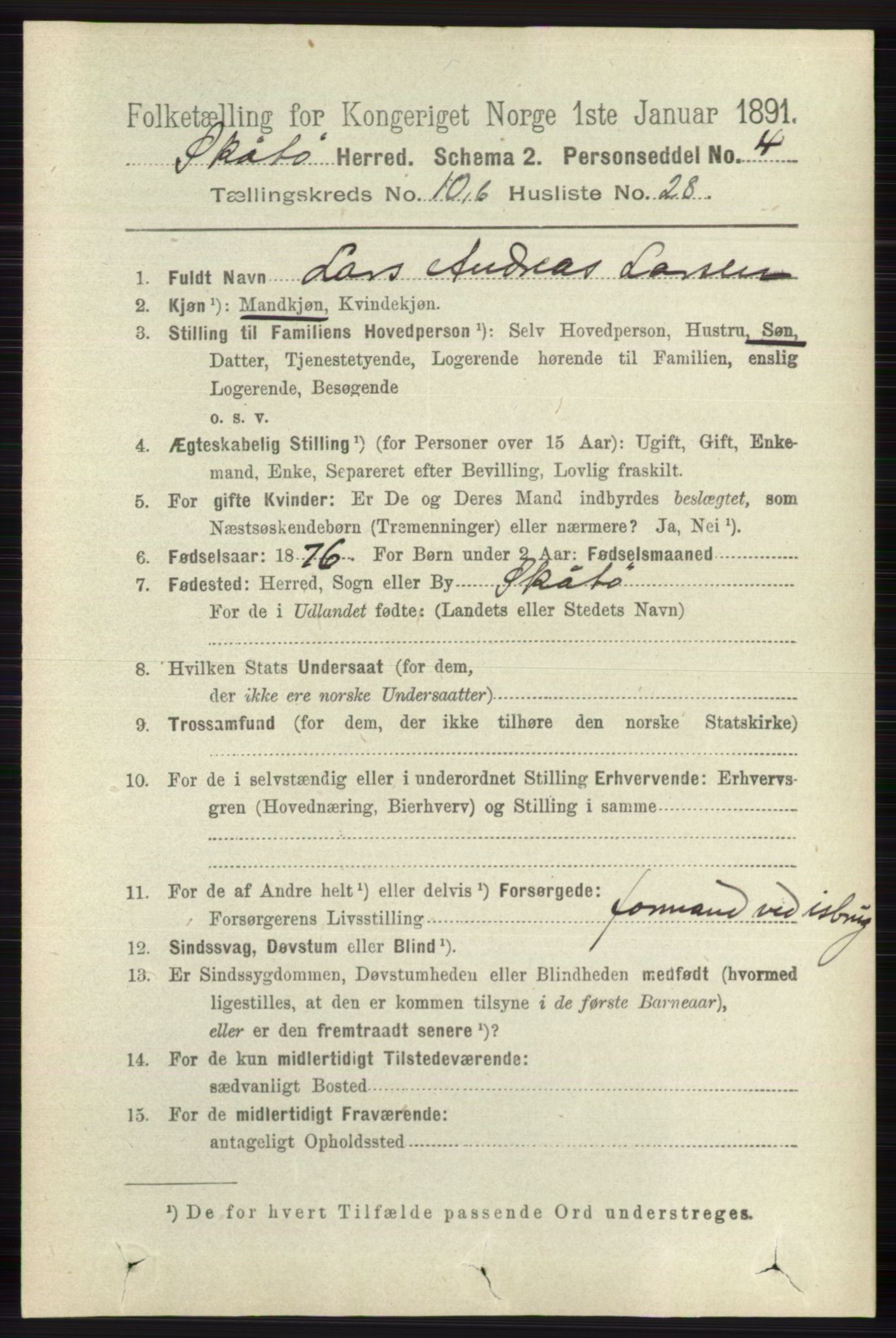 RA, 1891 census for 0815 Skåtøy, 1891, p. 4210