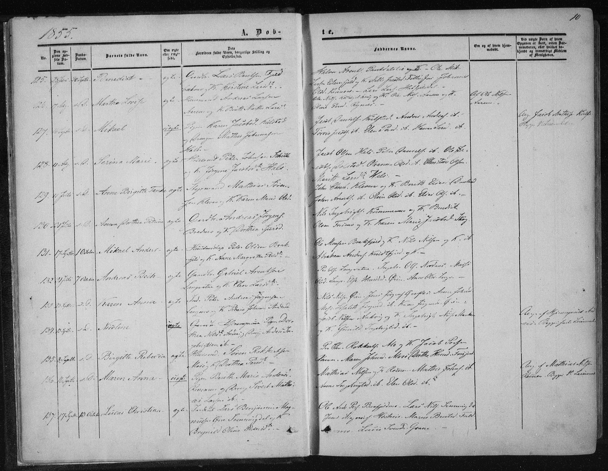 Ministerialprotokoller, klokkerbøker og fødselsregistre - Nordland, SAT/A-1459/820/L0293: Parish register (official) no. 820A14, 1855-1865, p. 10