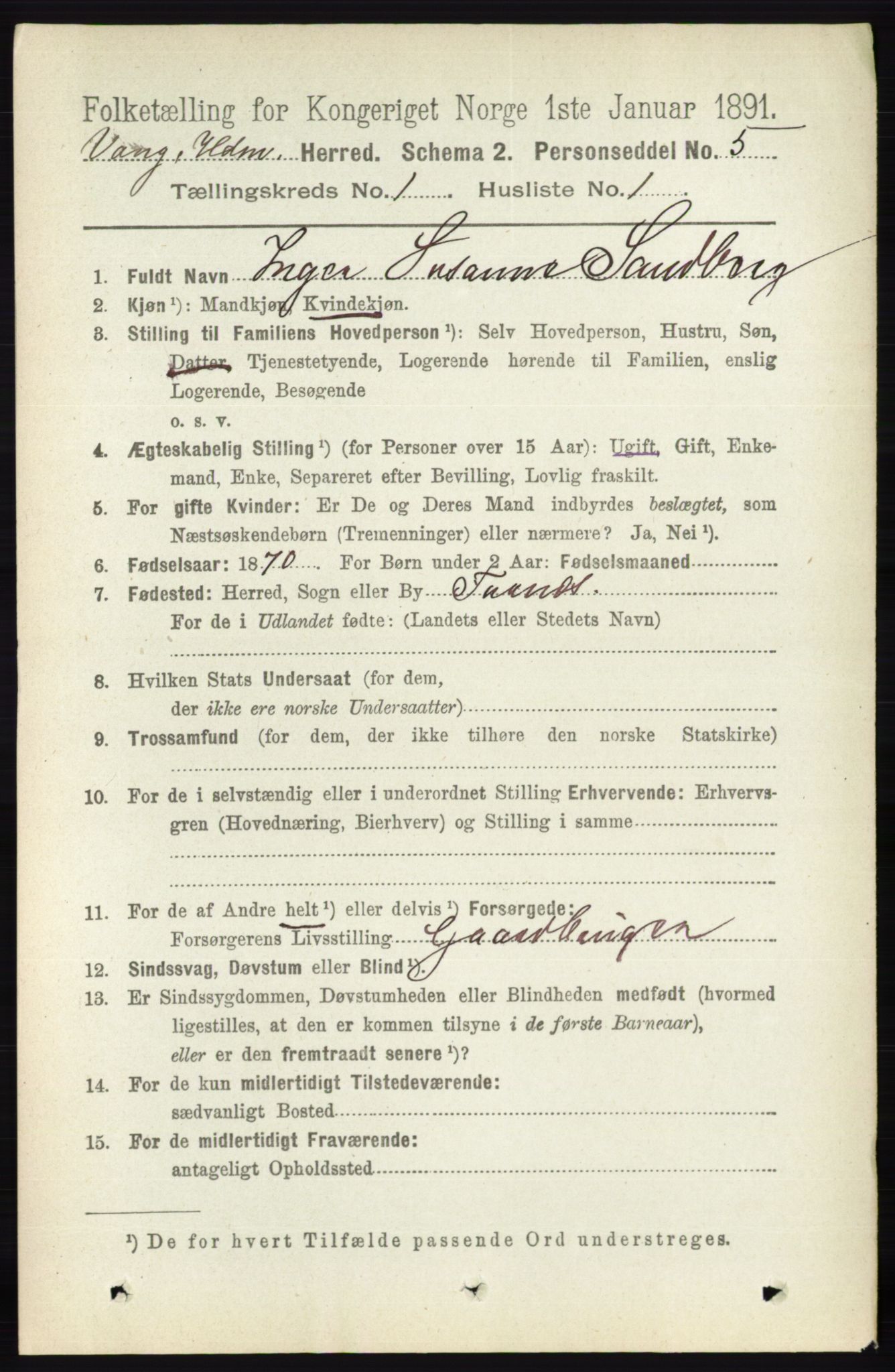 RA, 1891 census for 0414 Vang, 1891, p. 176