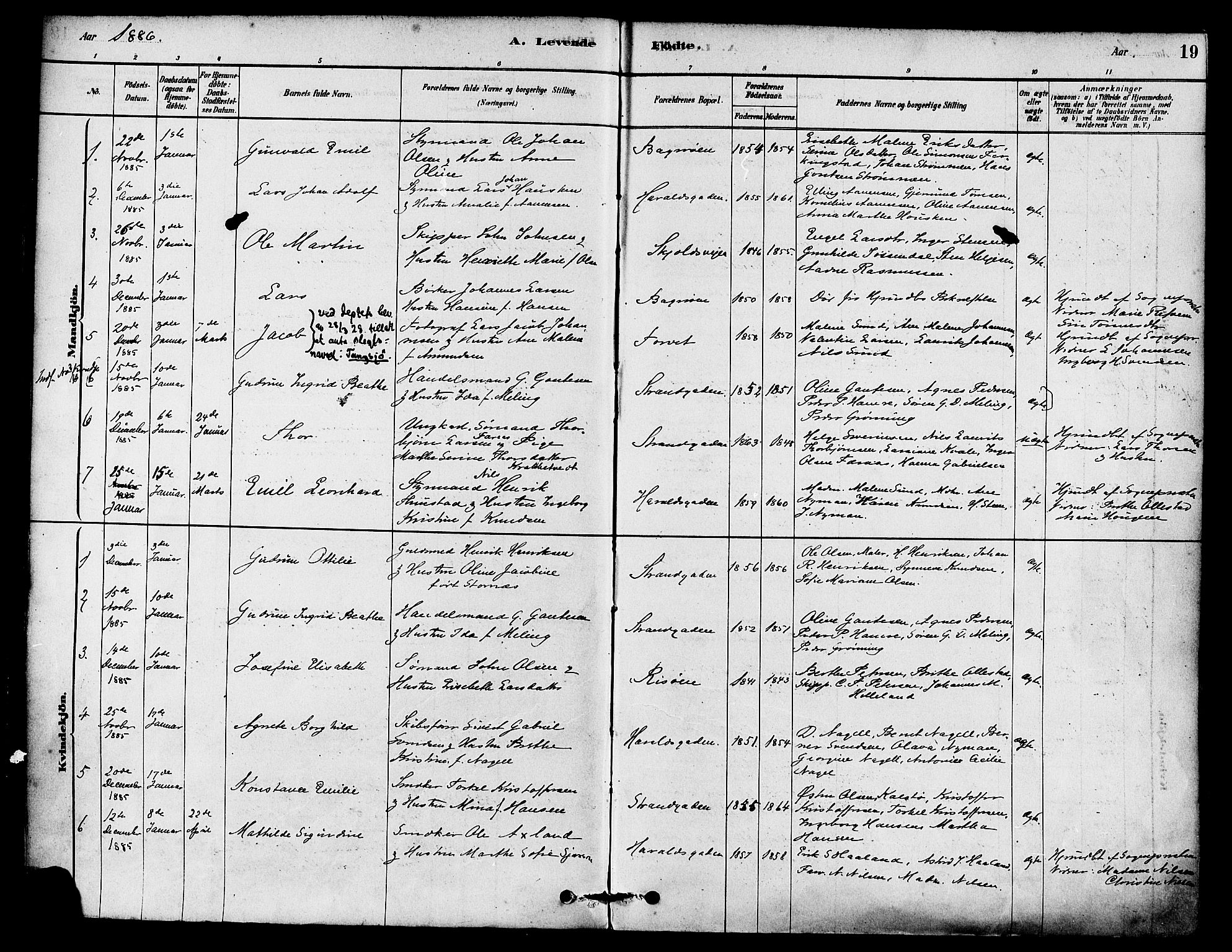 Haugesund sokneprestkontor, SAST/A -101863/H/Ha/Haa/L0003: Parish register (official) no. A 3, 1885-1890, p. 19