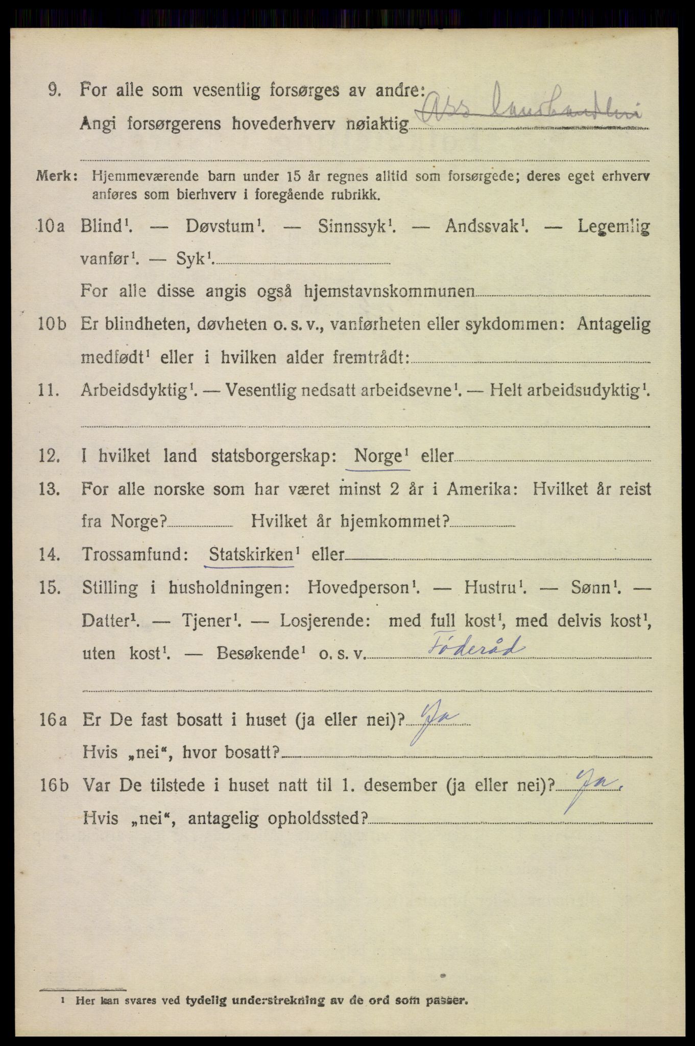 SAH, 1920 census for Åsnes, 1920, p. 11737