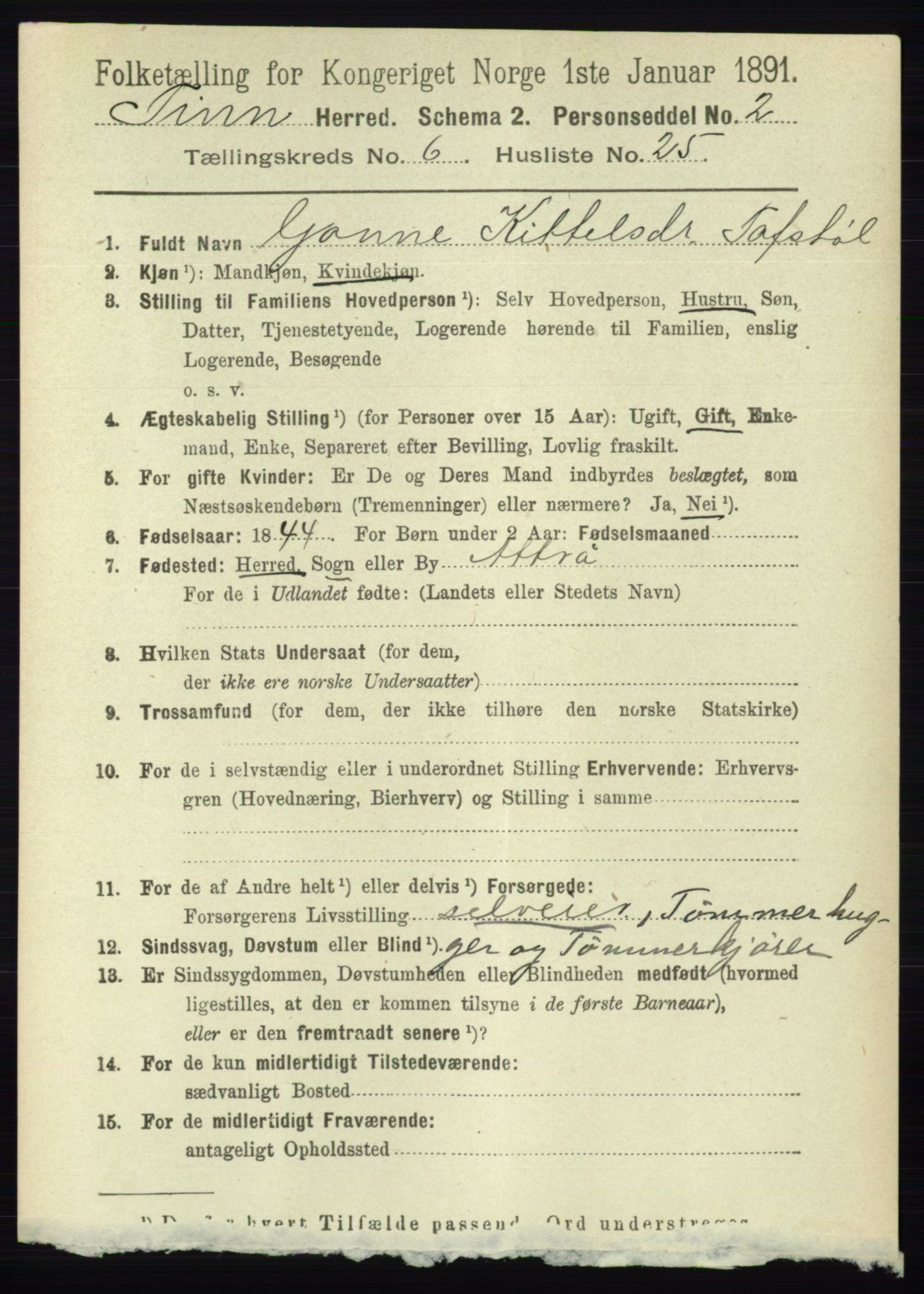 RA, 1891 census for 0826 Tinn, 1891, p. 1388