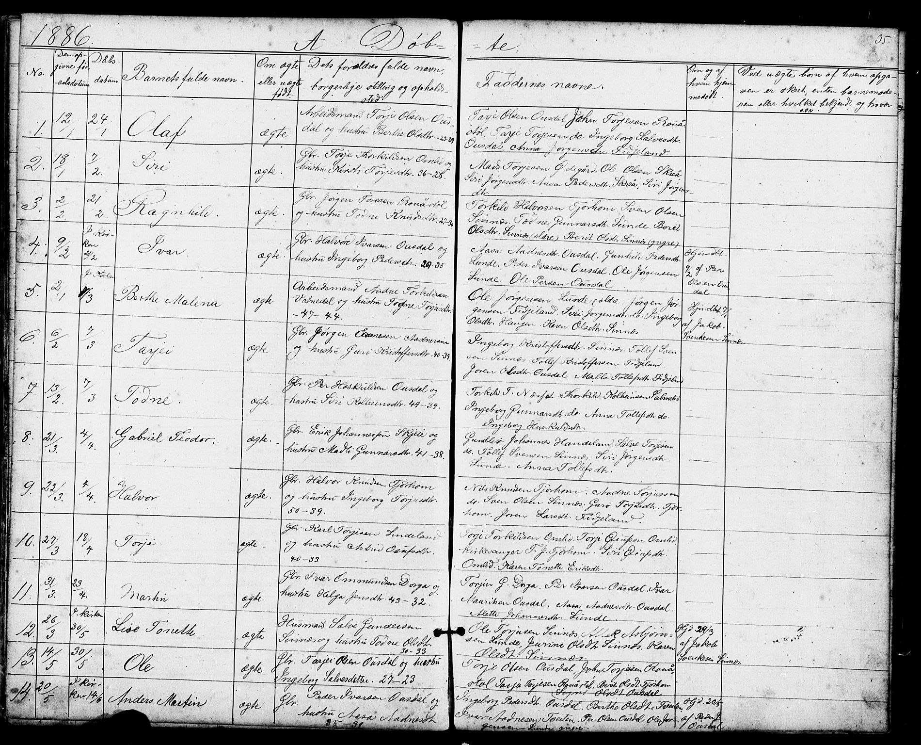 Sirdal sokneprestkontor, AV/SAK-1111-0036/F/Fb/Fba/L0001: Parish register (copy) no. B 1, 1872-1905, p. 35