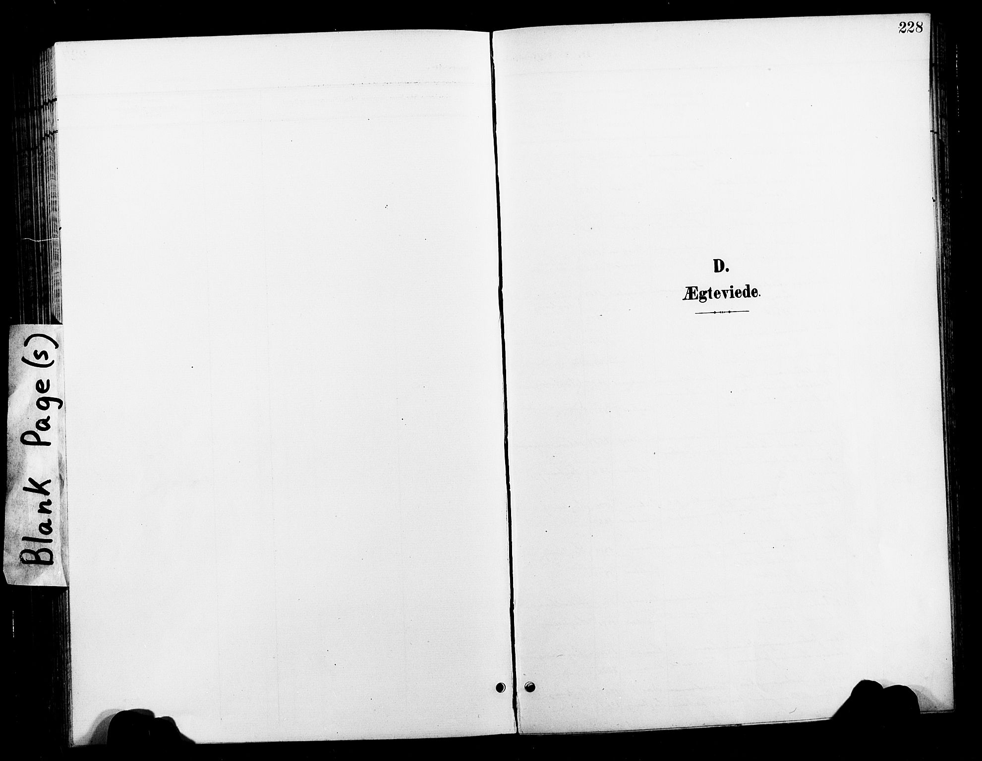 Ministerialprotokoller, klokkerbøker og fødselsregistre - Nord-Trøndelag, AV/SAT-A-1458/730/L0302: Parish register (copy) no. 730C05, 1898-1924, p. 228