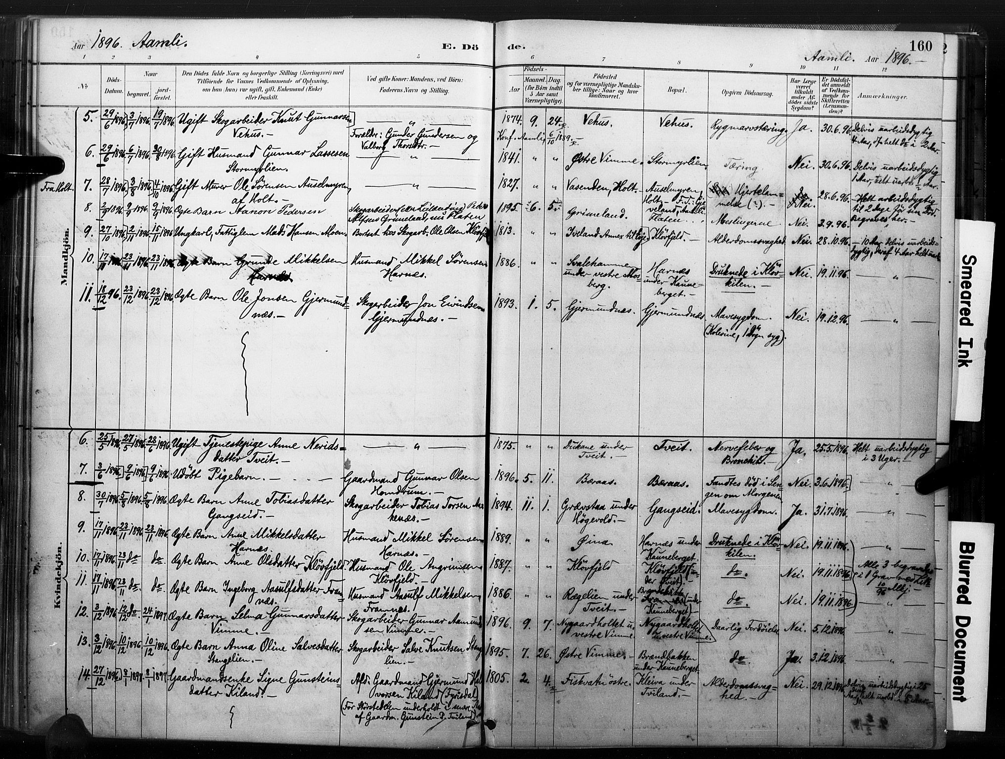 Åmli sokneprestkontor, SAK/1111-0050/F/Fa/Fac/L0010: Parish register (official) no. A 10 /1, 1885-1899, p. 160