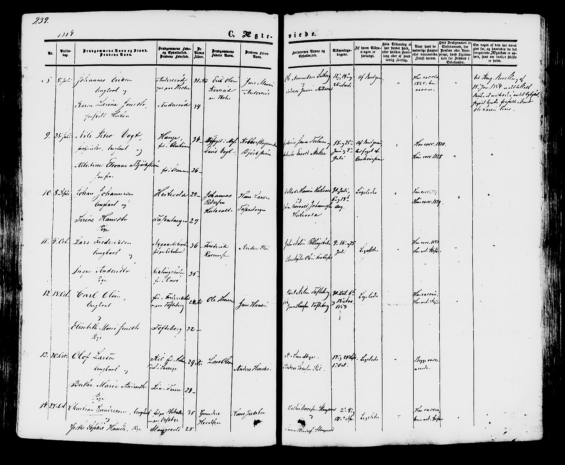 Råde prestekontor kirkebøker, AV/SAO-A-2009/F/Fa/L0006: Parish register (official) no. 6, 1854-1877, p. 239