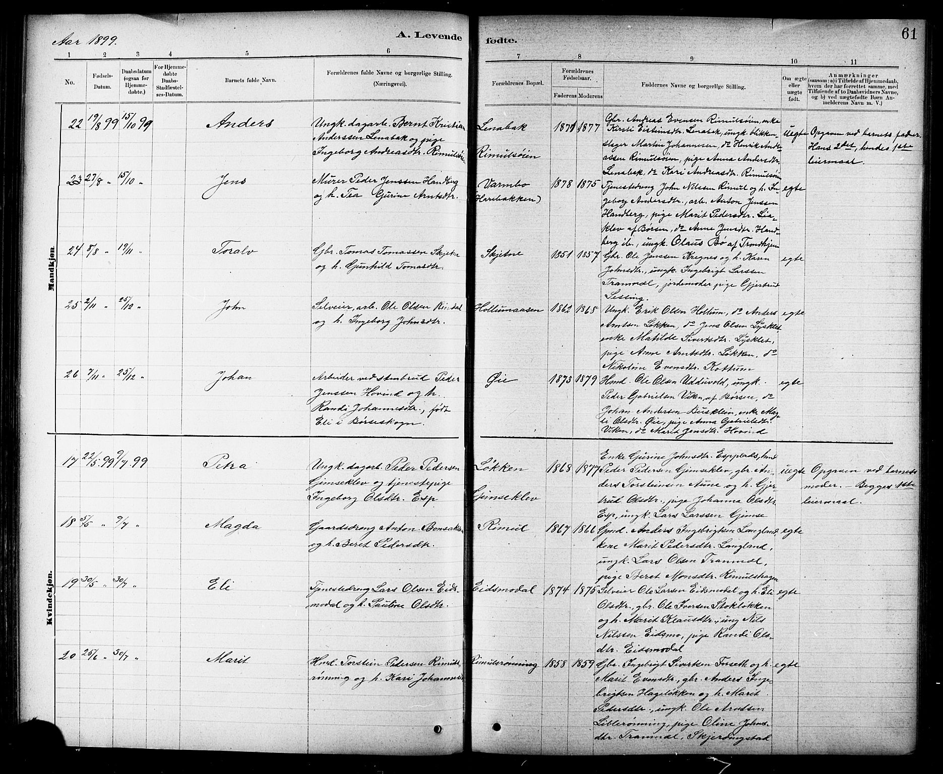 Ministerialprotokoller, klokkerbøker og fødselsregistre - Sør-Trøndelag, AV/SAT-A-1456/691/L1094: Parish register (copy) no. 691C05, 1879-1911, p. 61