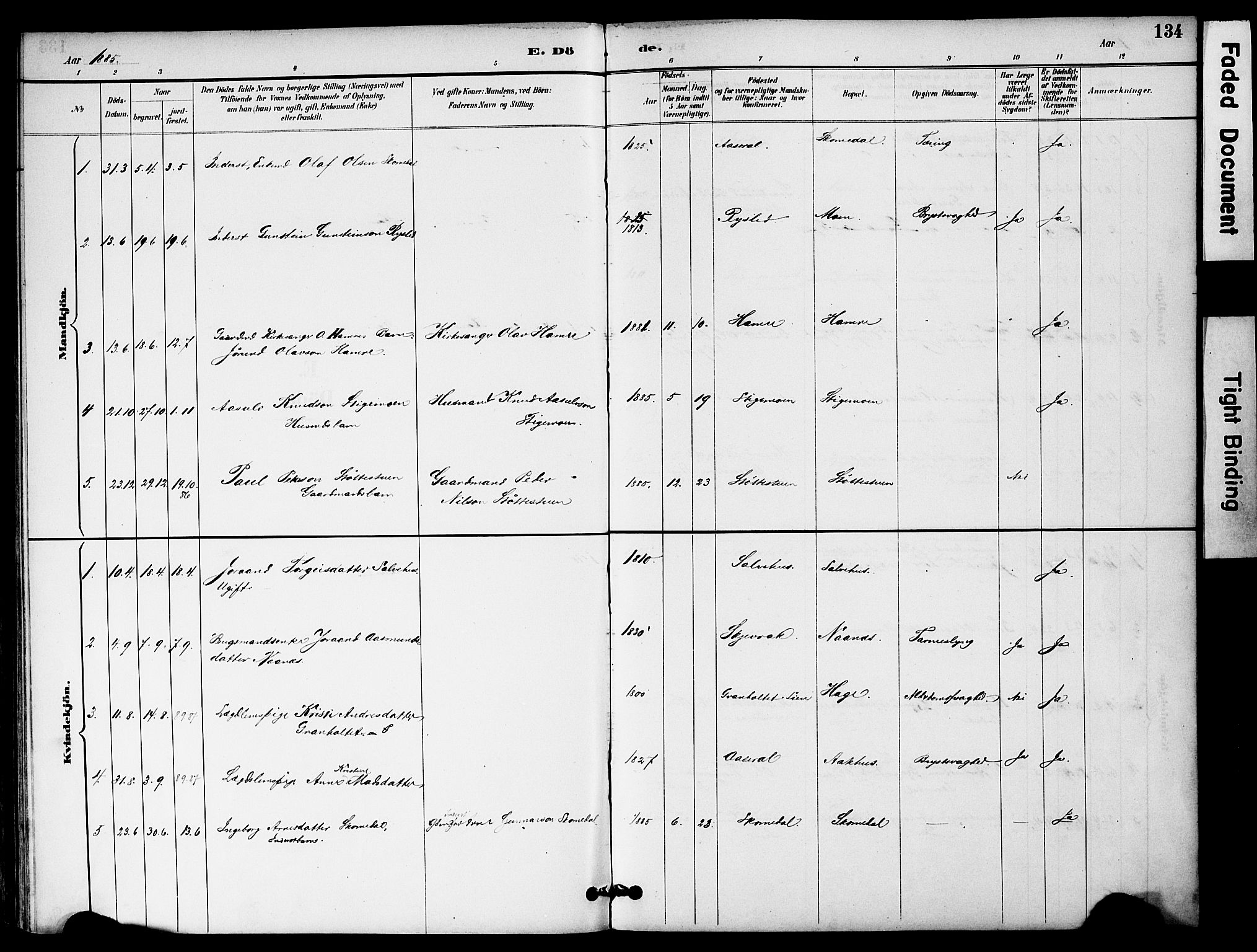 Bygland sokneprestkontor, AV/SAK-1111-0006/F/Fa/Fab/L0007: Parish register (official) no. A 7, 1885-1909, p. 134