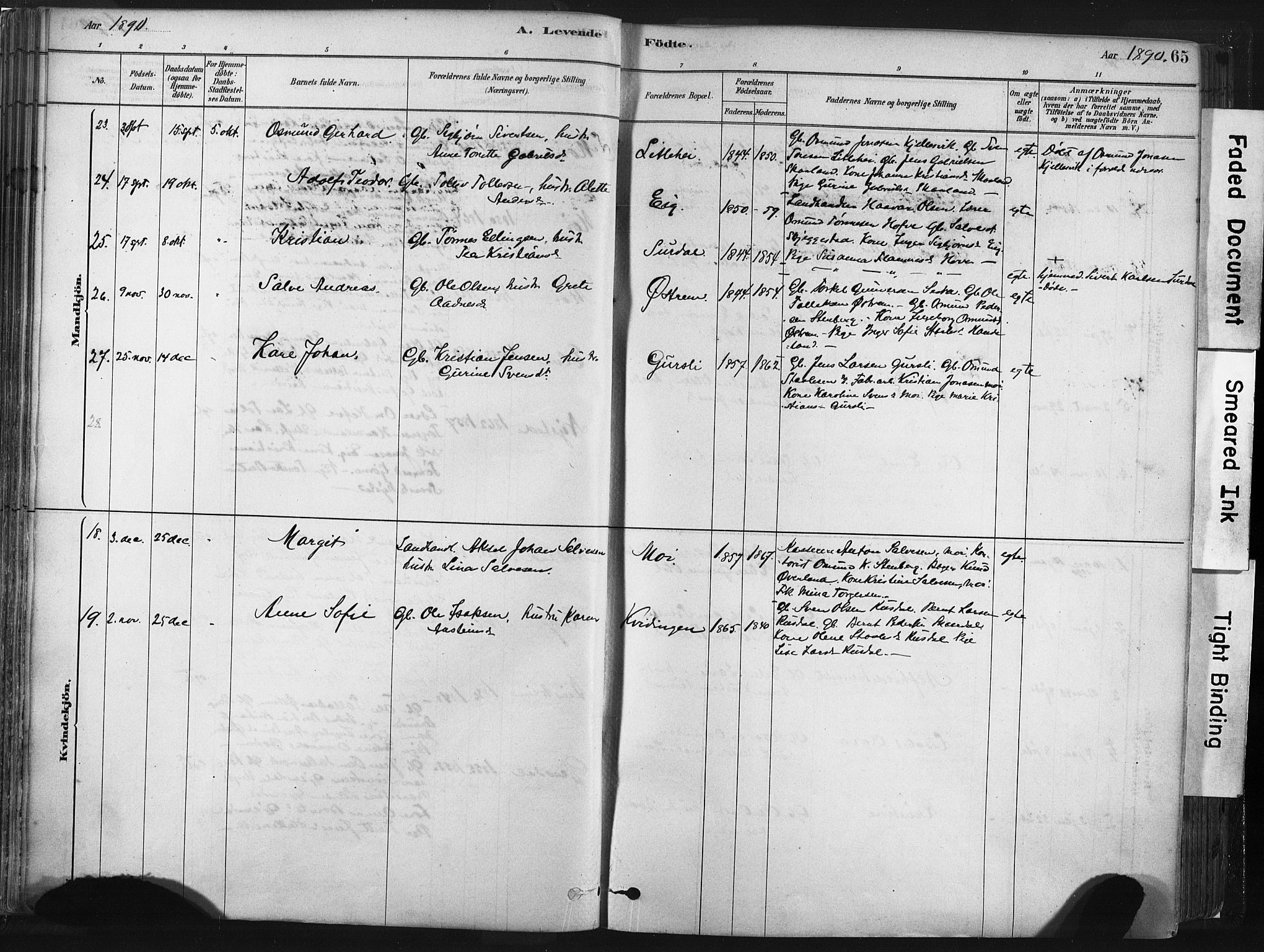 Lund sokneprestkontor, AV/SAST-A-101809/S06/L0011: Parish register (official) no. A 10, 1877-1904, p. 65