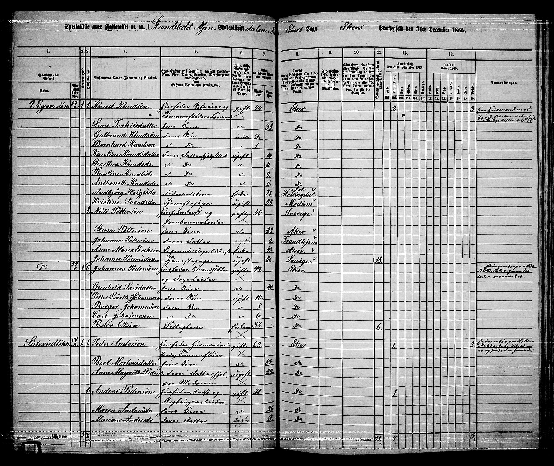 RA, 1865 census for Eiker, 1865, p. 404