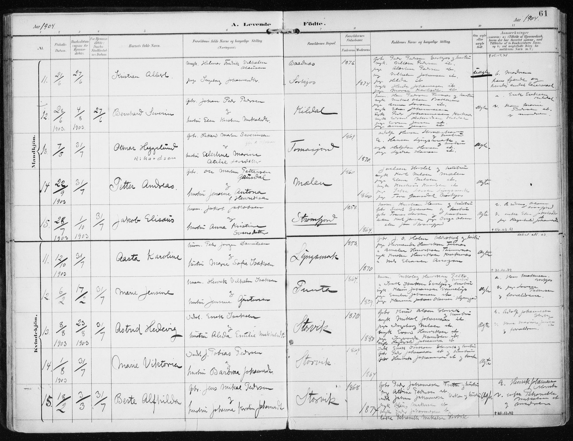 Skjervøy sokneprestkontor, AV/SATØ-S-1300/H/Ha/Haa/L0017kirke: Parish register (official) no. 17, 1895-1911, p. 61