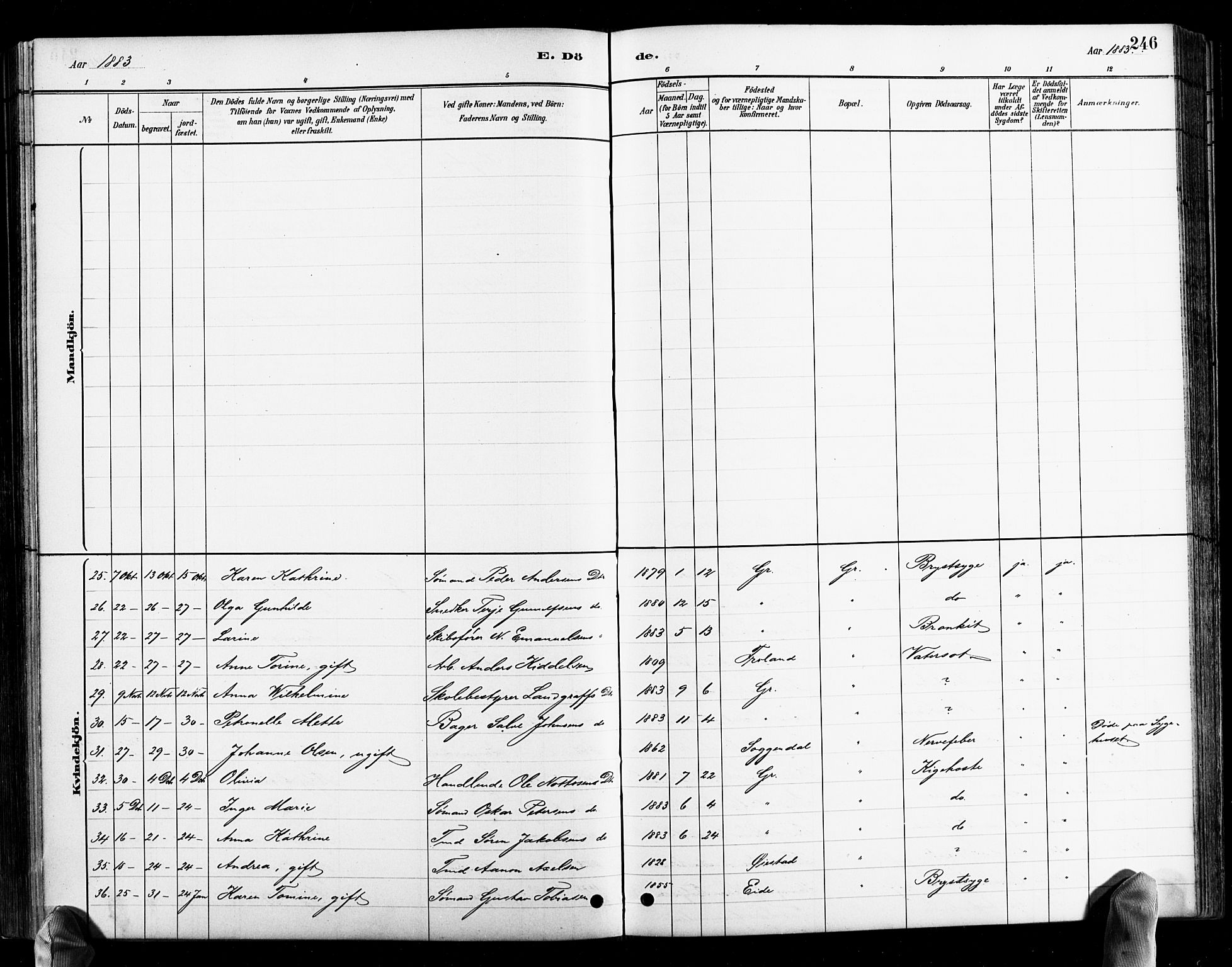 Grimstad sokneprestkontor, SAK/1111-0017/F/Fb/L0001: Parish register (copy) no. B 1, 1881-1922, p. 246