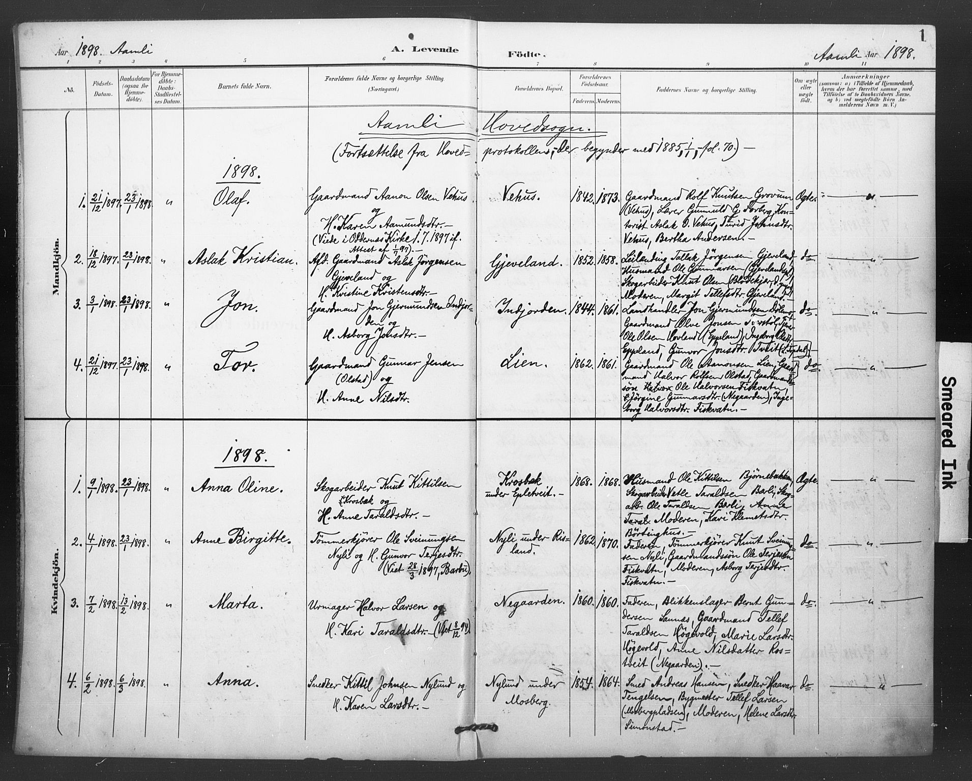 Åmli sokneprestkontor, AV/SAK-1111-0050/F/Fa/Fac/L0011: Parish register (official) no. A 11, 1898-1899, p. 1