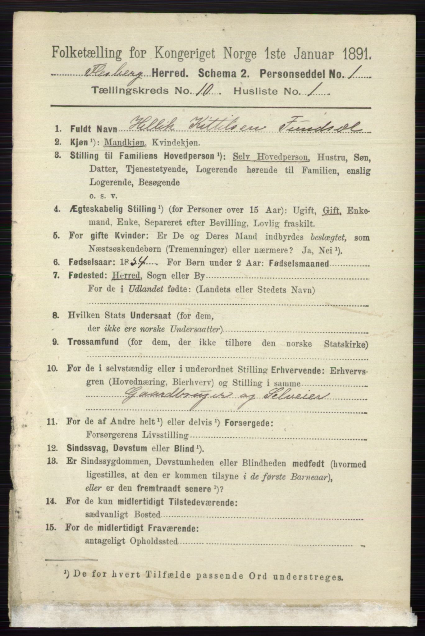 RA, 1891 census for 0631 Flesberg, 1891, p. 1666