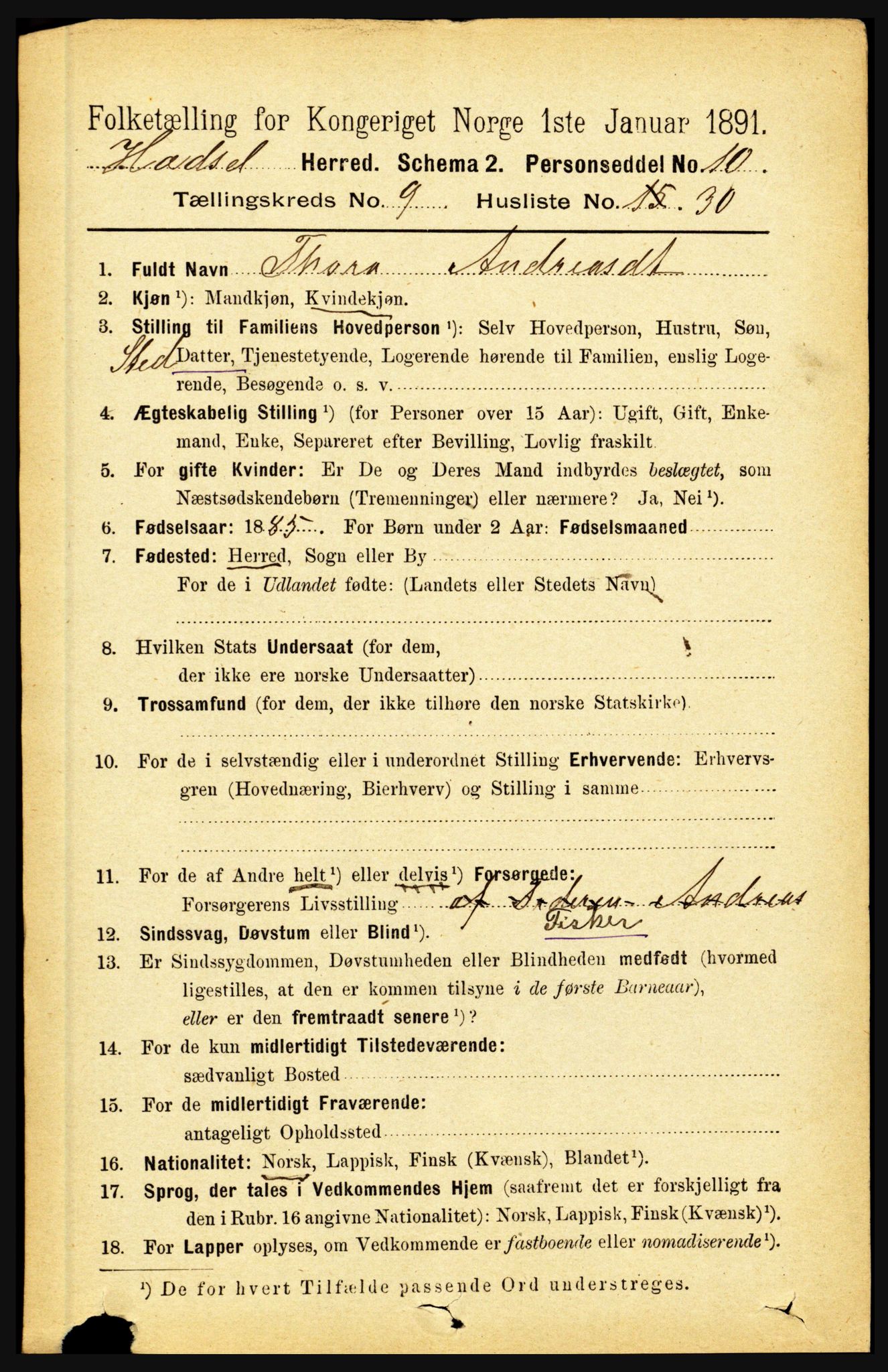 RA, 1891 census for 1866 Hadsel, 1891, p. 4129