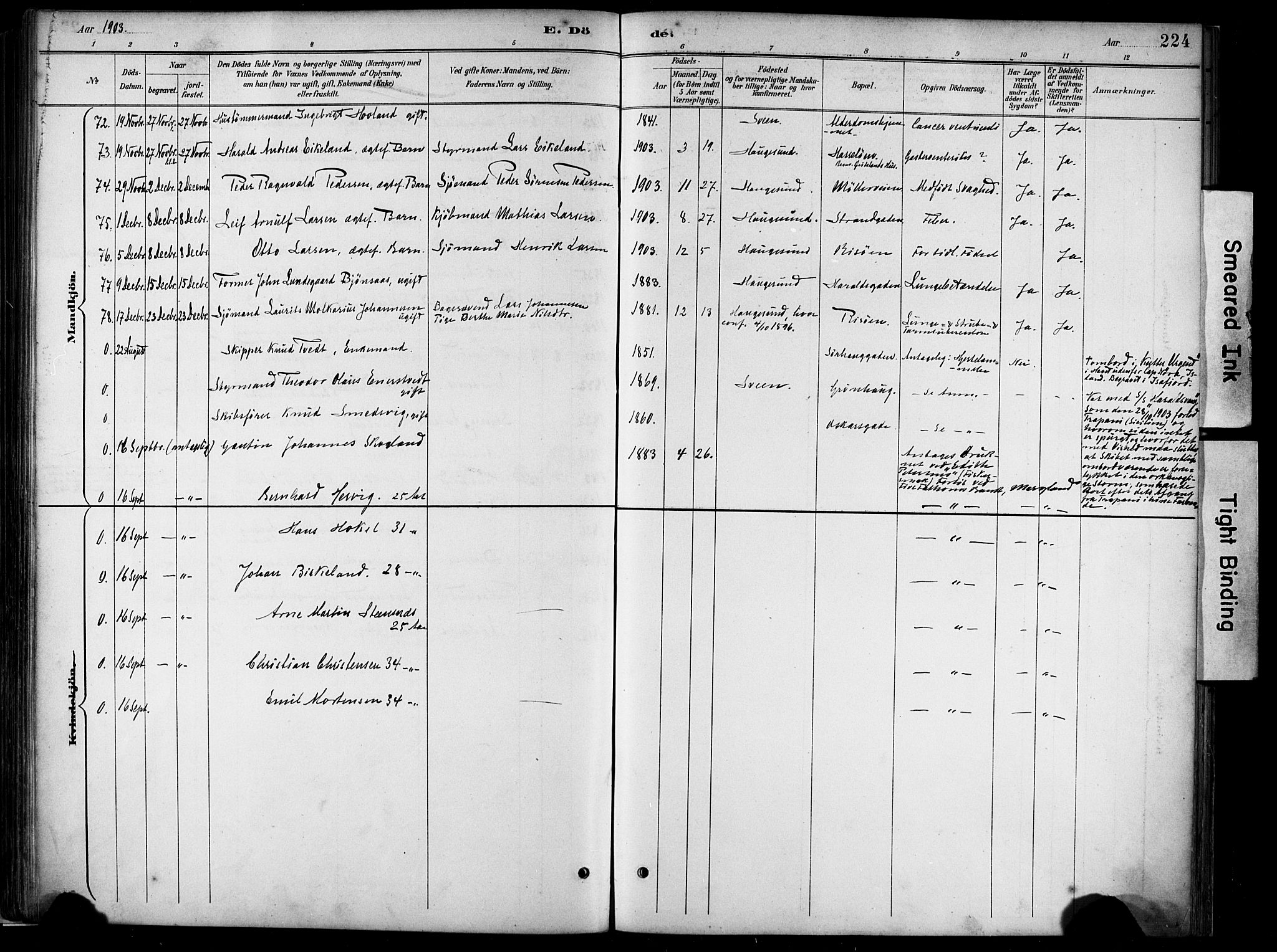 Haugesund sokneprestkontor, SAST/A -101863/H/Ha/Haa/L0005: Parish register (official) no. A 5, 1891-1903, p. 224