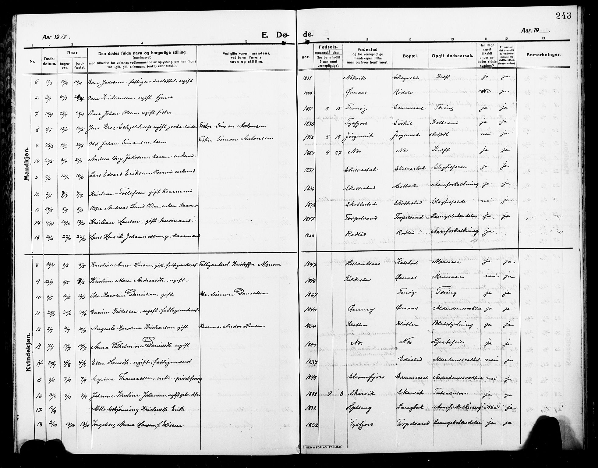 Ministerialprotokoller, klokkerbøker og fødselsregistre - Nordland, AV/SAT-A-1459/859/L0861: Parish register (copy) no. 859C07, 1910-1925, p. 243