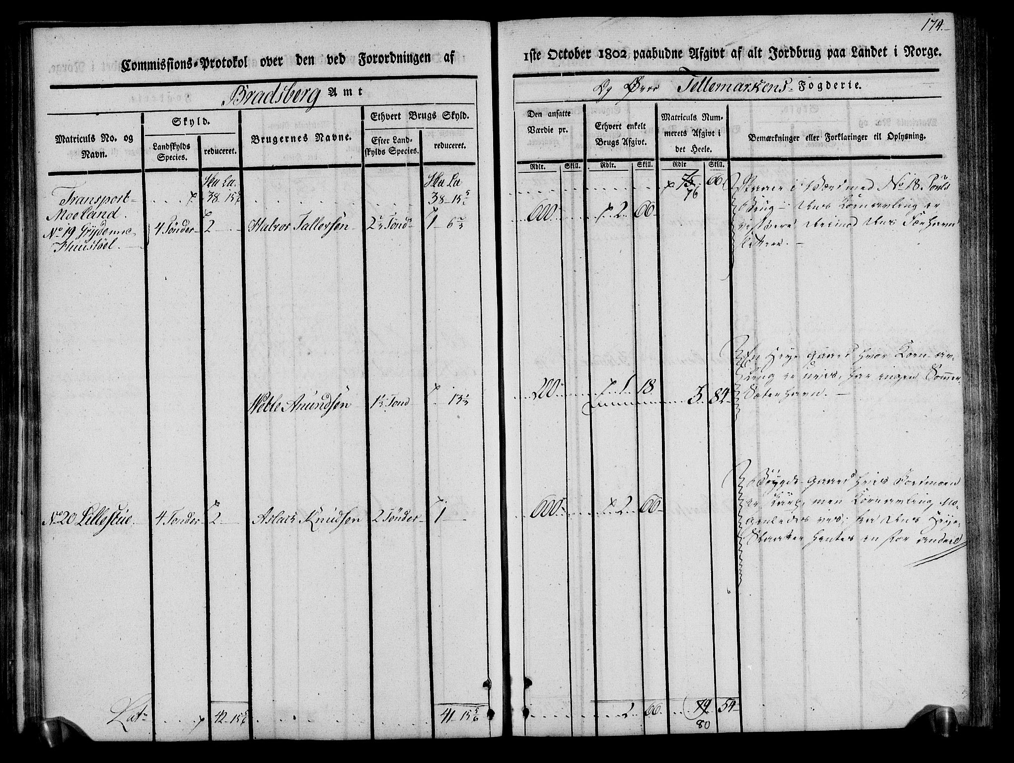 Rentekammeret inntil 1814, Realistisk ordnet avdeling, AV/RA-EA-4070/N/Ne/Nea/L0075: Øvre Telemarken fogderi. Kommisjonsprotokoll for fogderiets vestre del - Kviteseid, Vinje, Moland [):Fyresdal] og Lårdal prestegjeld., 1803, p. 176