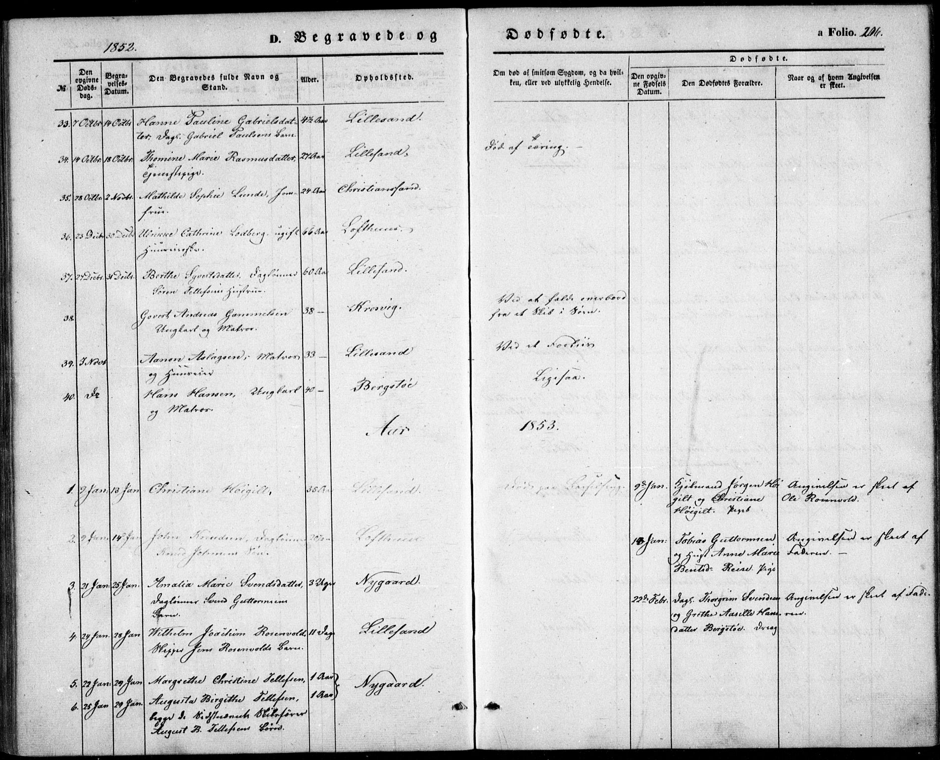 Vestre Moland sokneprestkontor, AV/SAK-1111-0046/F/Fb/Fbb/L0003: Parish register (copy) no. B 3, 1851-1861, p. 206