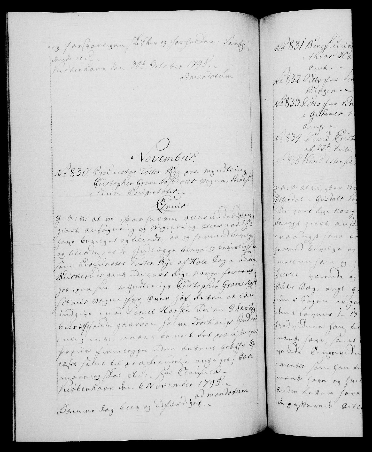 Danske Kanselli 1572-1799, RA/EA-3023/F/Fc/Fca/Fcaa/L0056: Norske registre, 1795-1796, p. 447b