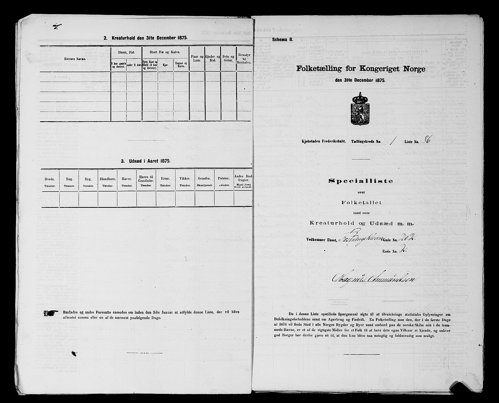 RA, 1875 census for 0101P Fredrikshald, 1875, p. 199