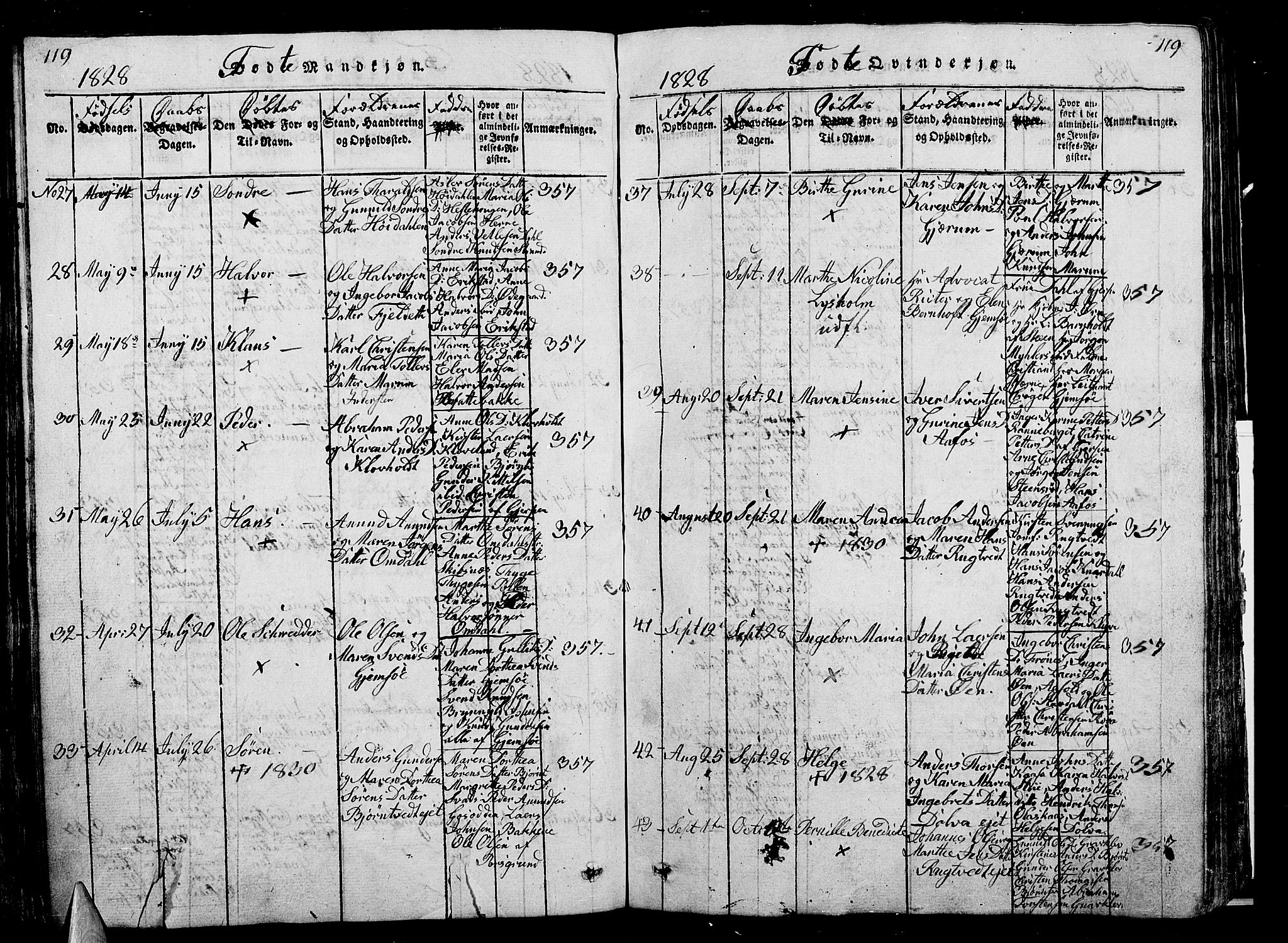 Solum kirkebøker, SAKO/A-306/G/Ga/L0001: Parish register (copy) no. I 1, 1814-1833, p. 119