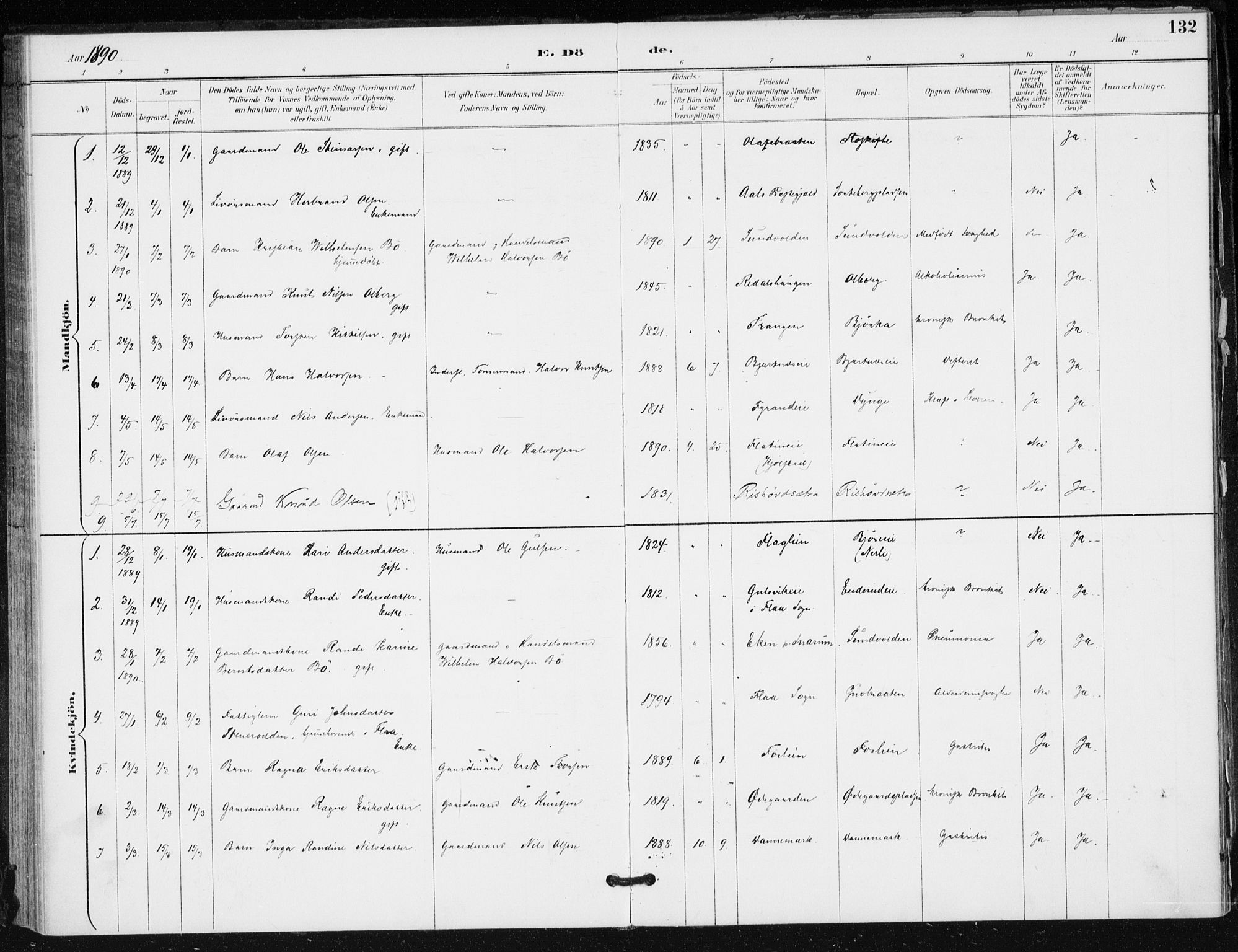 Krødsherad kirkebøker, SAKO/A-19/F/Fa/L0006: Parish register (official) no. 6, 1889-1899, p. 132