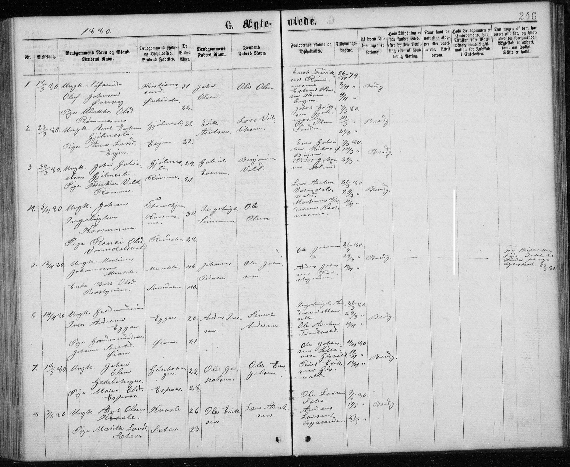 Ministerialprotokoller, klokkerbøker og fødselsregistre - Sør-Trøndelag, SAT/A-1456/668/L0817: Parish register (copy) no. 668C06, 1873-1884, p. 246