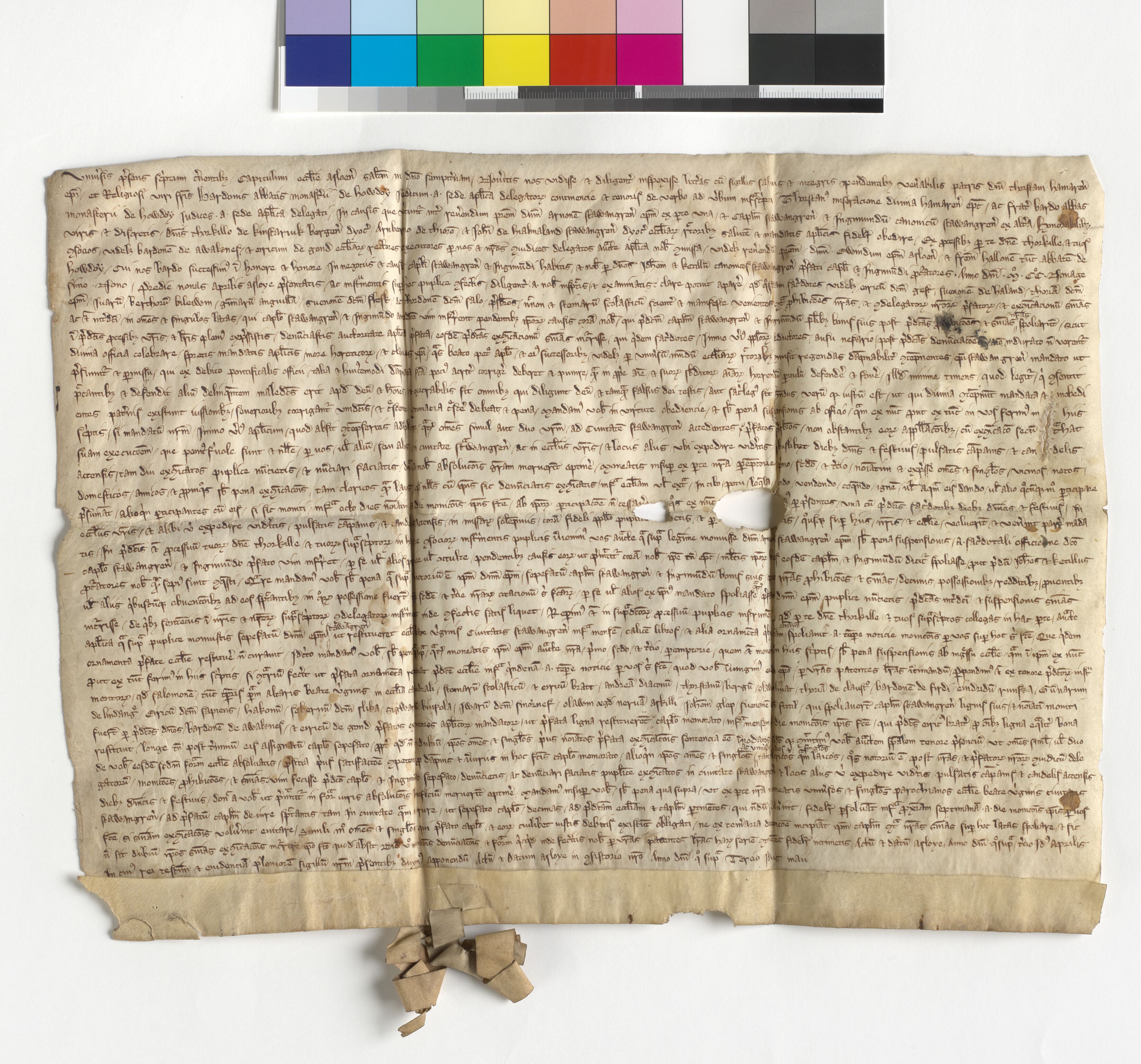 Riksarkivets diplomsamling, AV/RA-EA-5965/F05/L0084: NRA AM fasc. 29 nr. 5-11, 1299-1300, p. 5