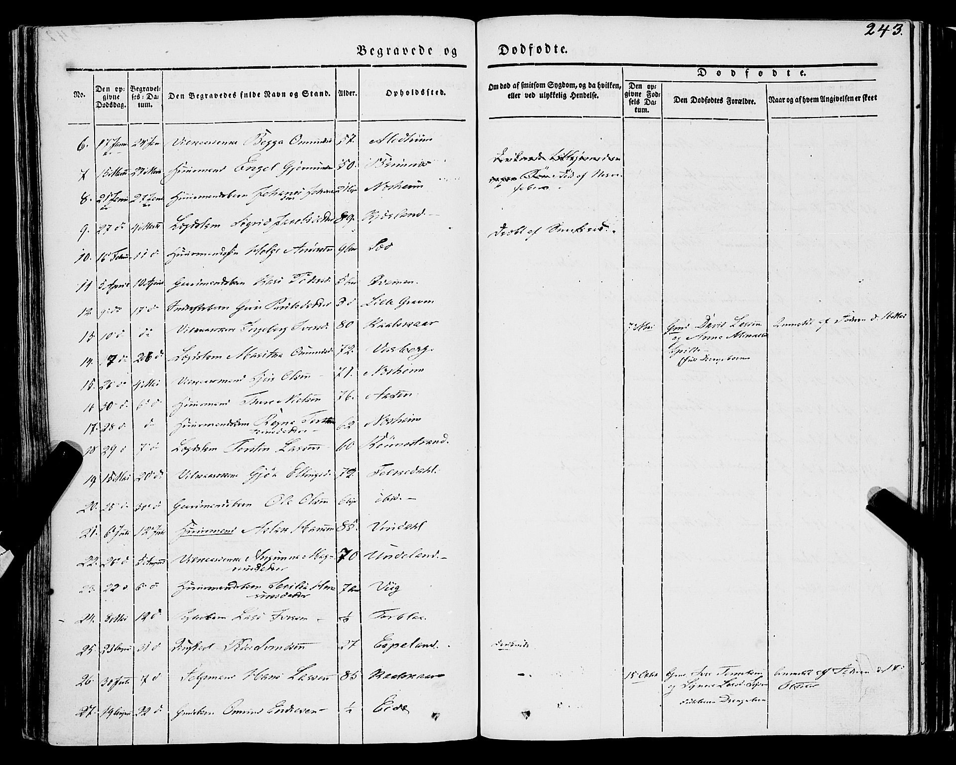 Ulvik sokneprestembete, SAB/A-78801/H/Haa: Parish register (official) no. A 12, 1839-1853, p. 243