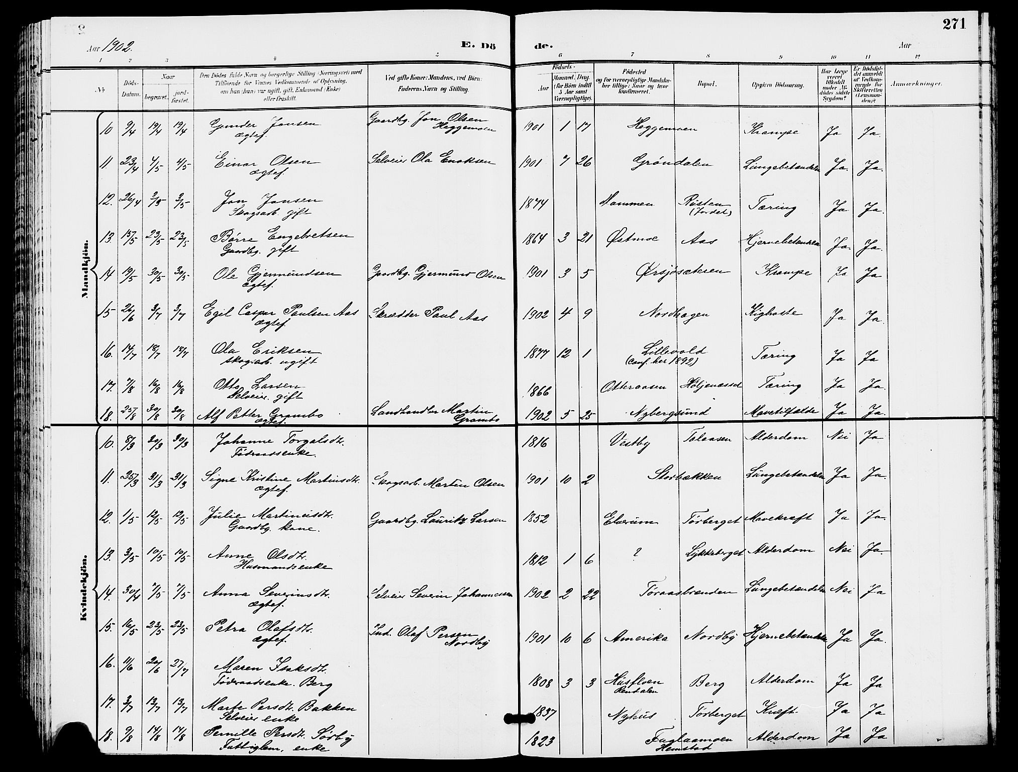 Trysil prestekontor, AV/SAH-PREST-046/H/Ha/Hab/L0006: Parish register (copy) no. 6, 1896-1912, p. 271