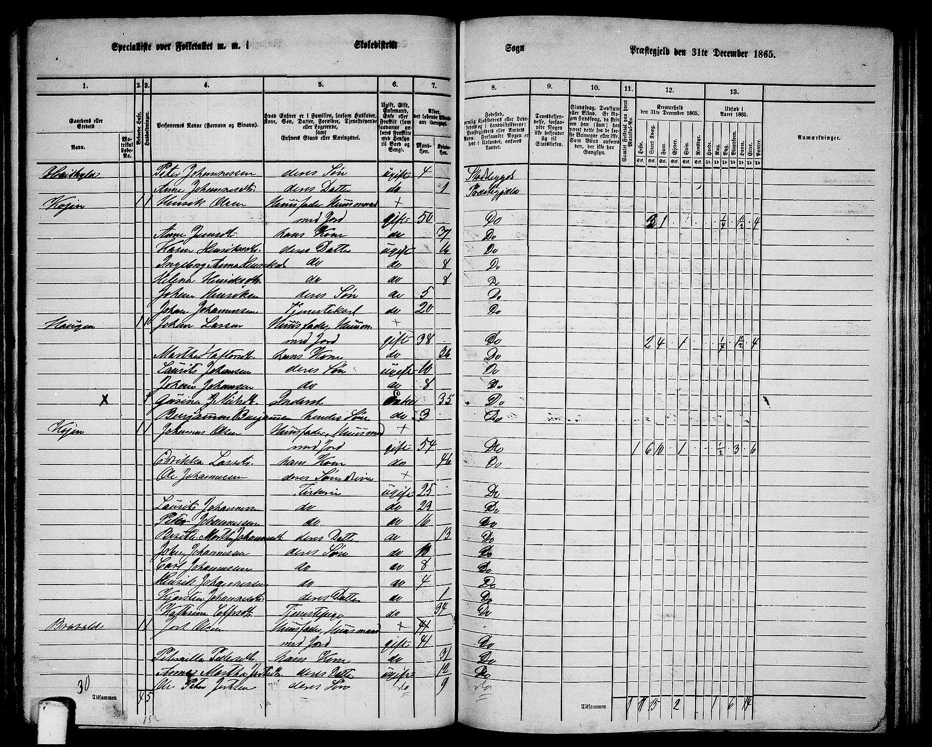 RA, 1865 census for Stadsbygd, 1865, p. 126